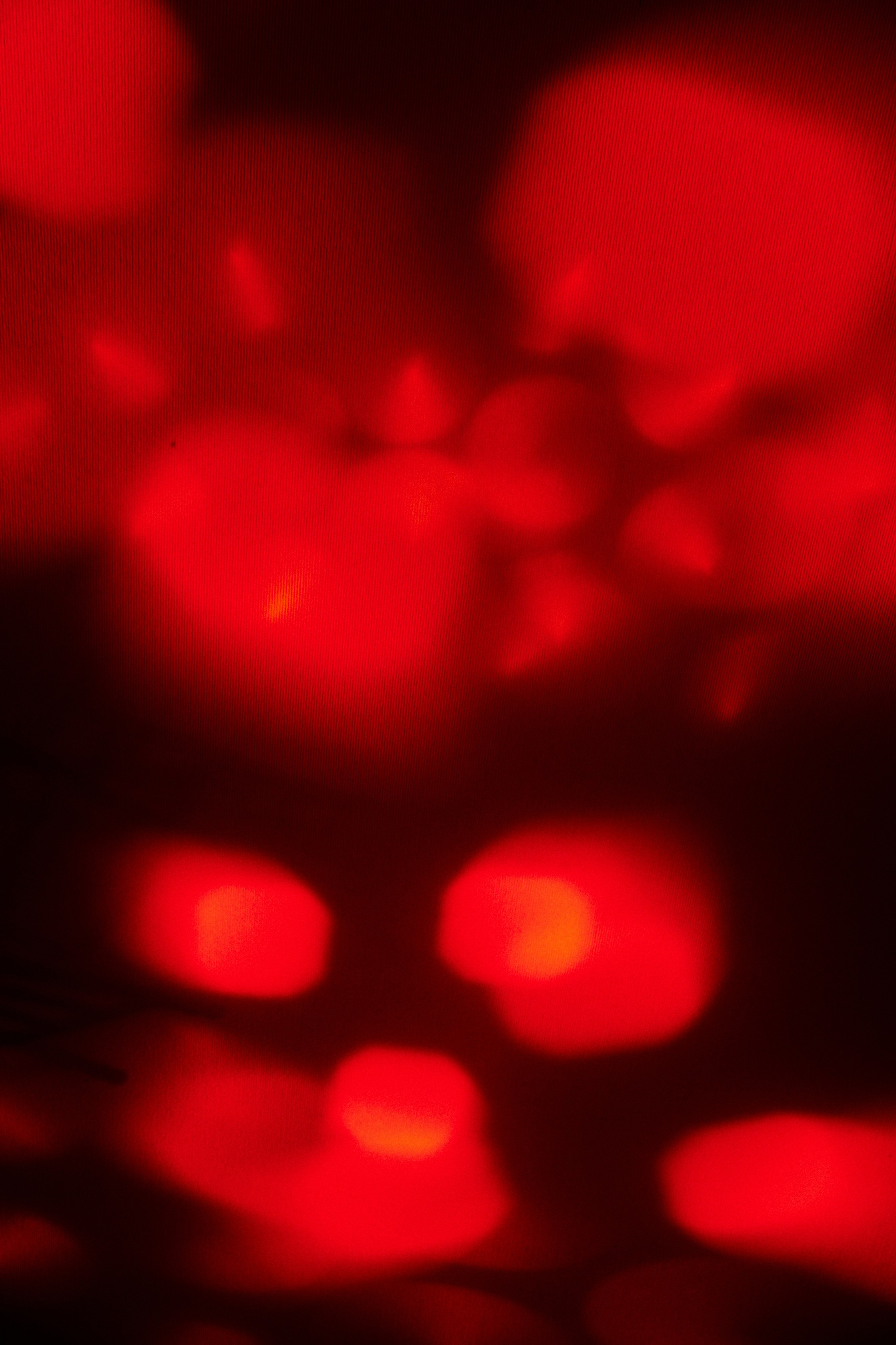 LESYA CABARET. Дмитрий Мазуркевич: Профессиональный Репортажный Фотограф