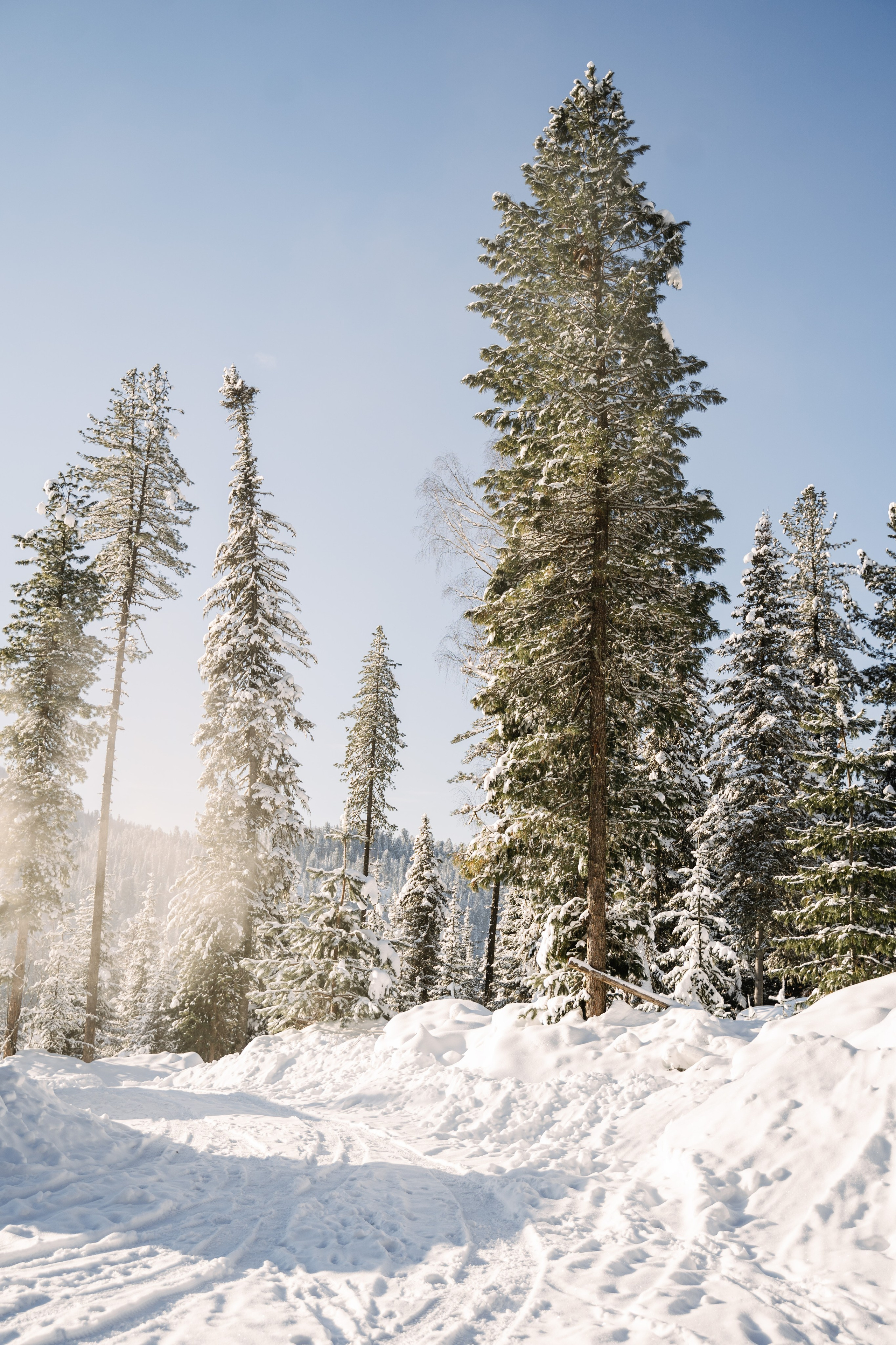 Гостевой дом София. Фотограф Ольга Пучкова