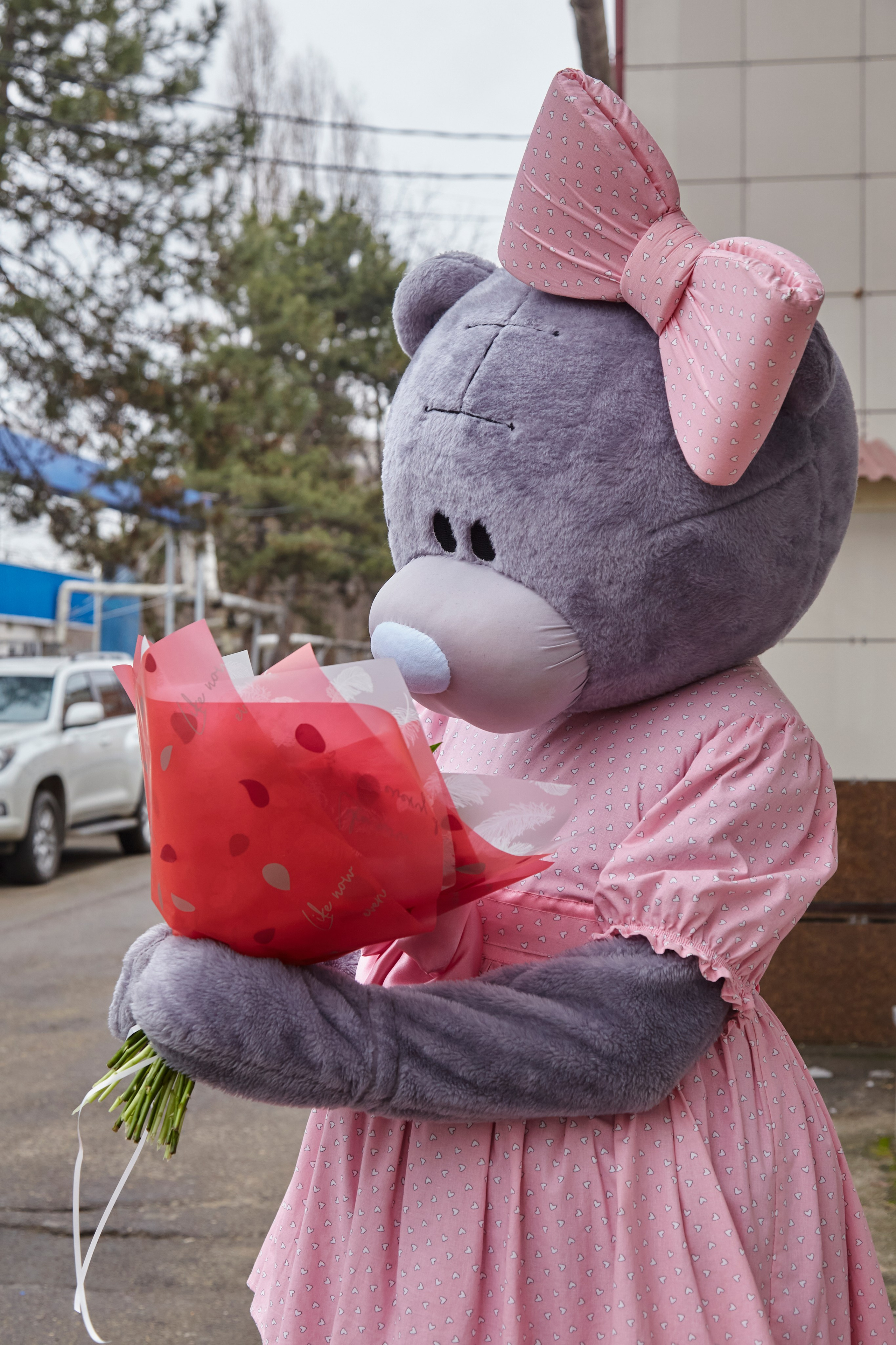 МИШКА ТЕДДИ. Свадебный и семейный фотограф/видеограф в Краснодаре Наталья Осинская
