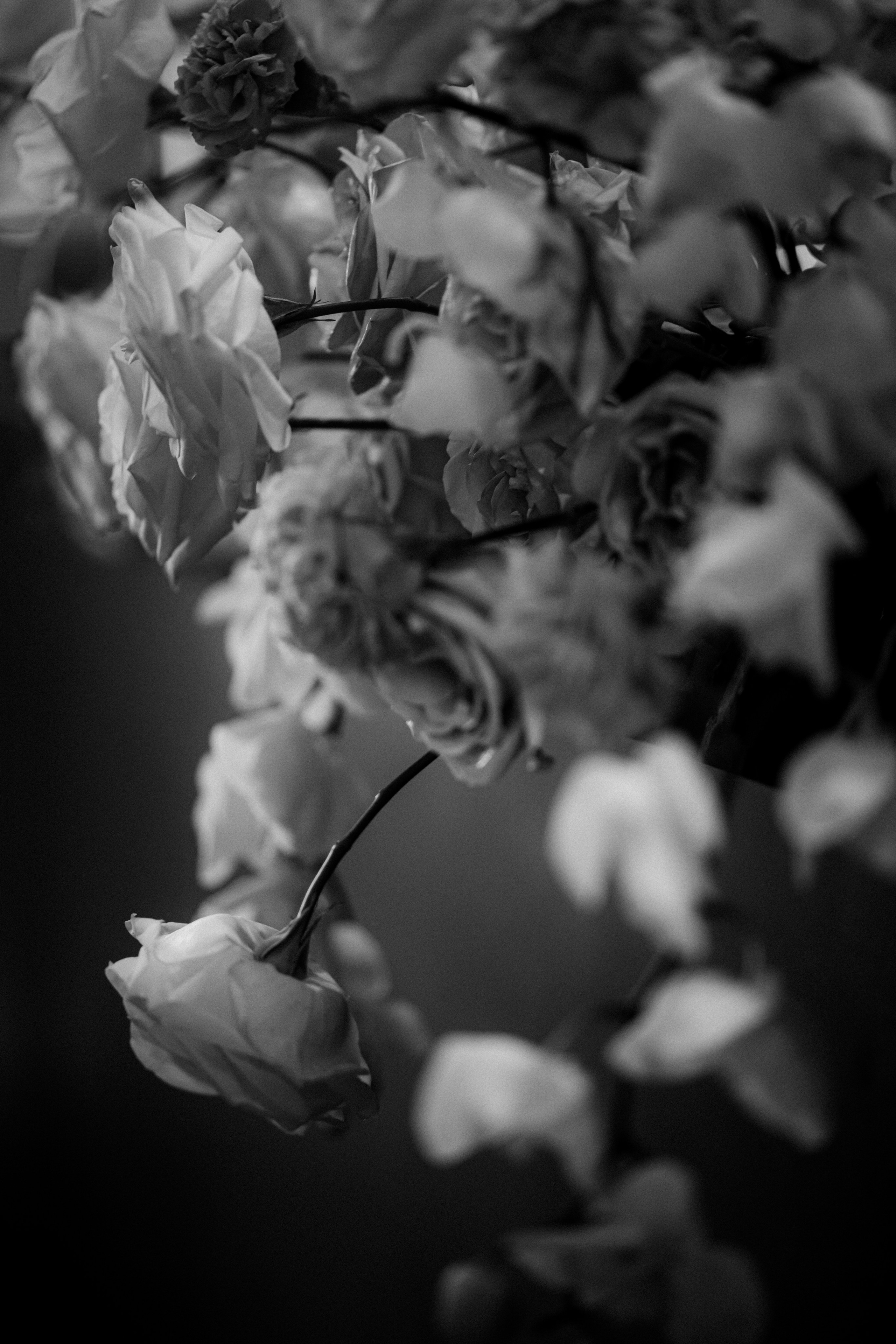 Istanbul Sariyer wedding. Wedding & Documentary Photographer based in Nuremberg — available across Europe & Turkey | Vitalii Nasonov