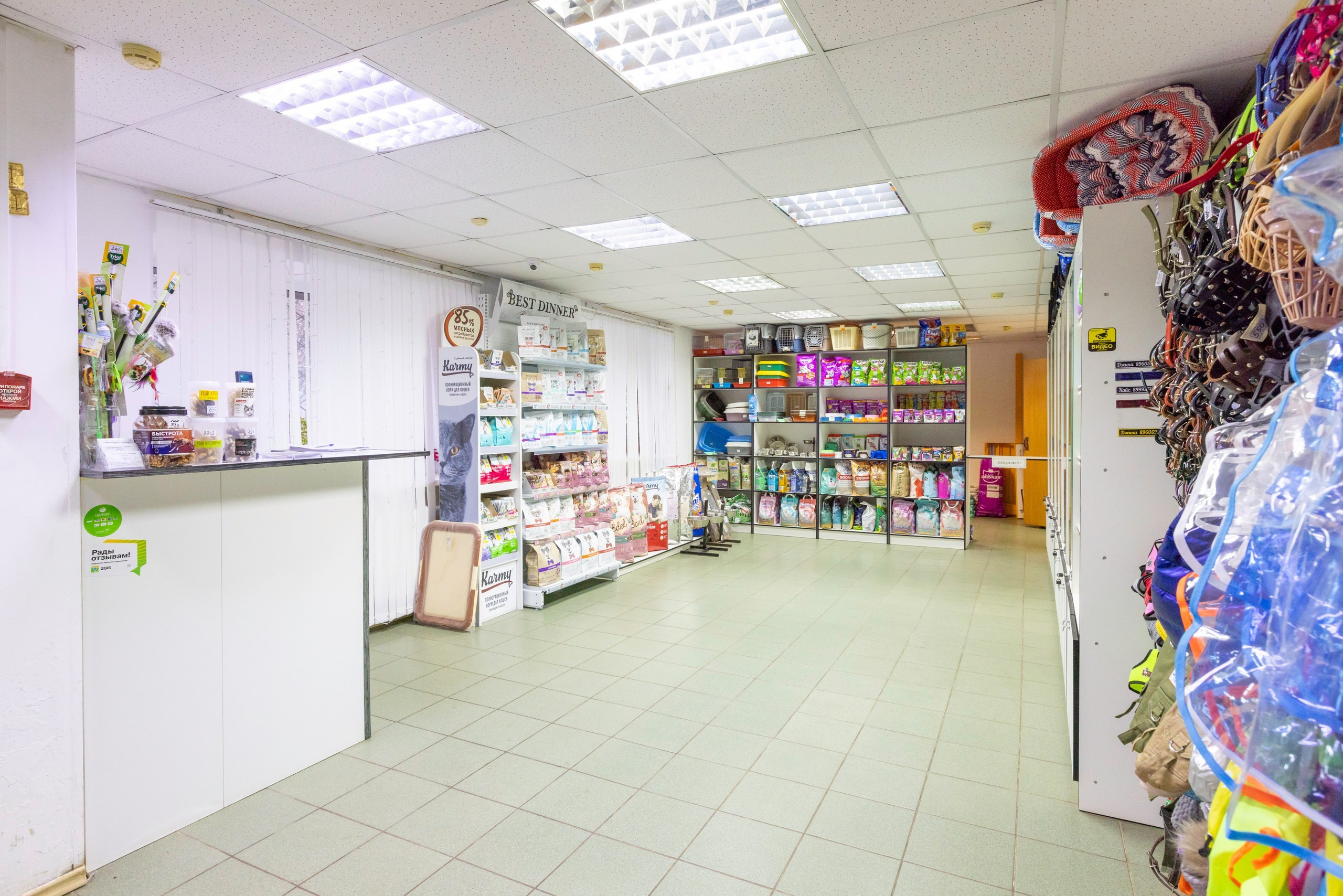 БАРОН. Ветеринарная клиника. Фотограф в Туле Крупский АнДРей. Фотостудия «КАДР71» в Туле