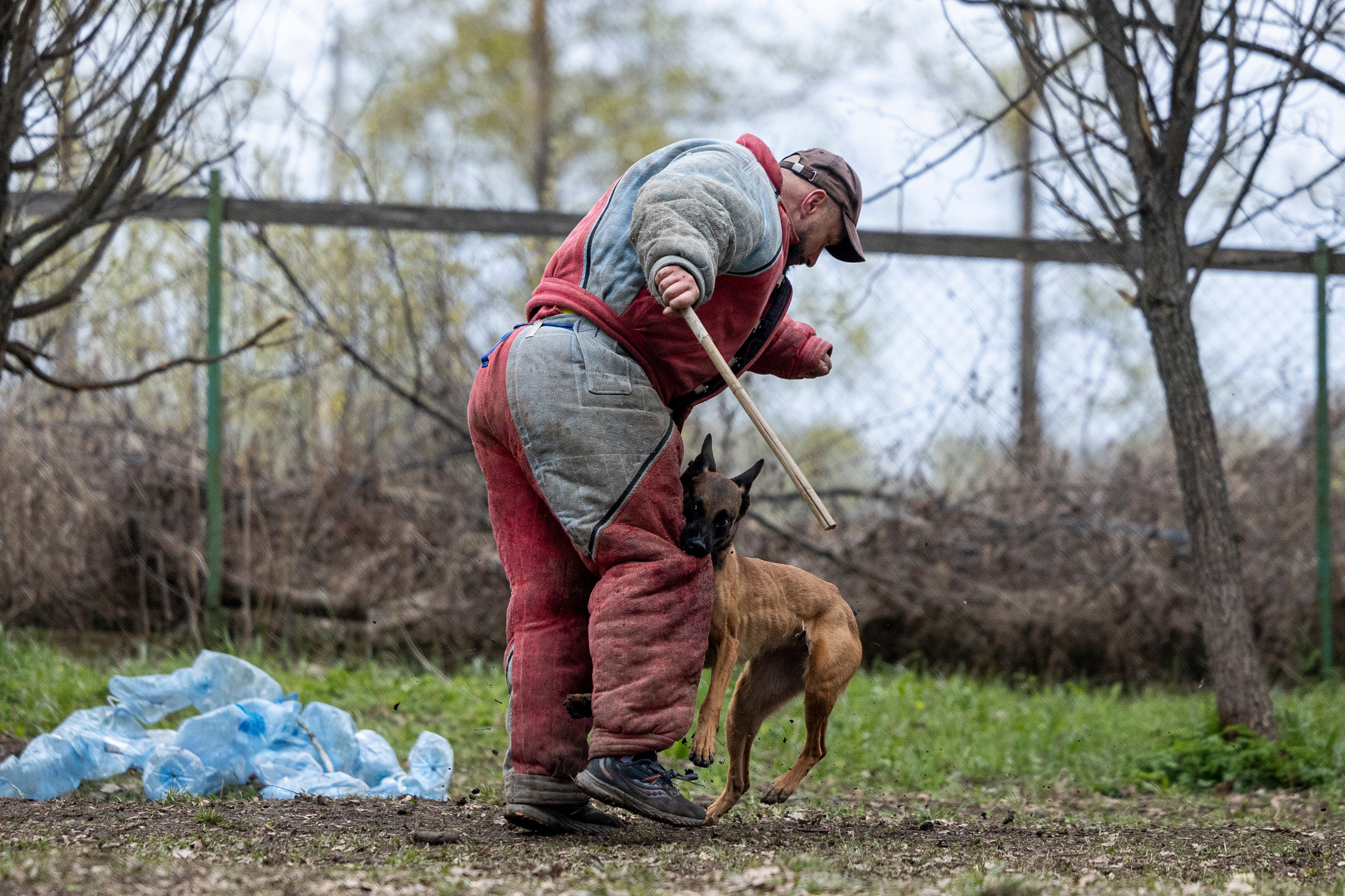 Квалификационные состязания по мондьорингу г. Вологда 11.05.24. Фотограф-анималист Анна Маринич