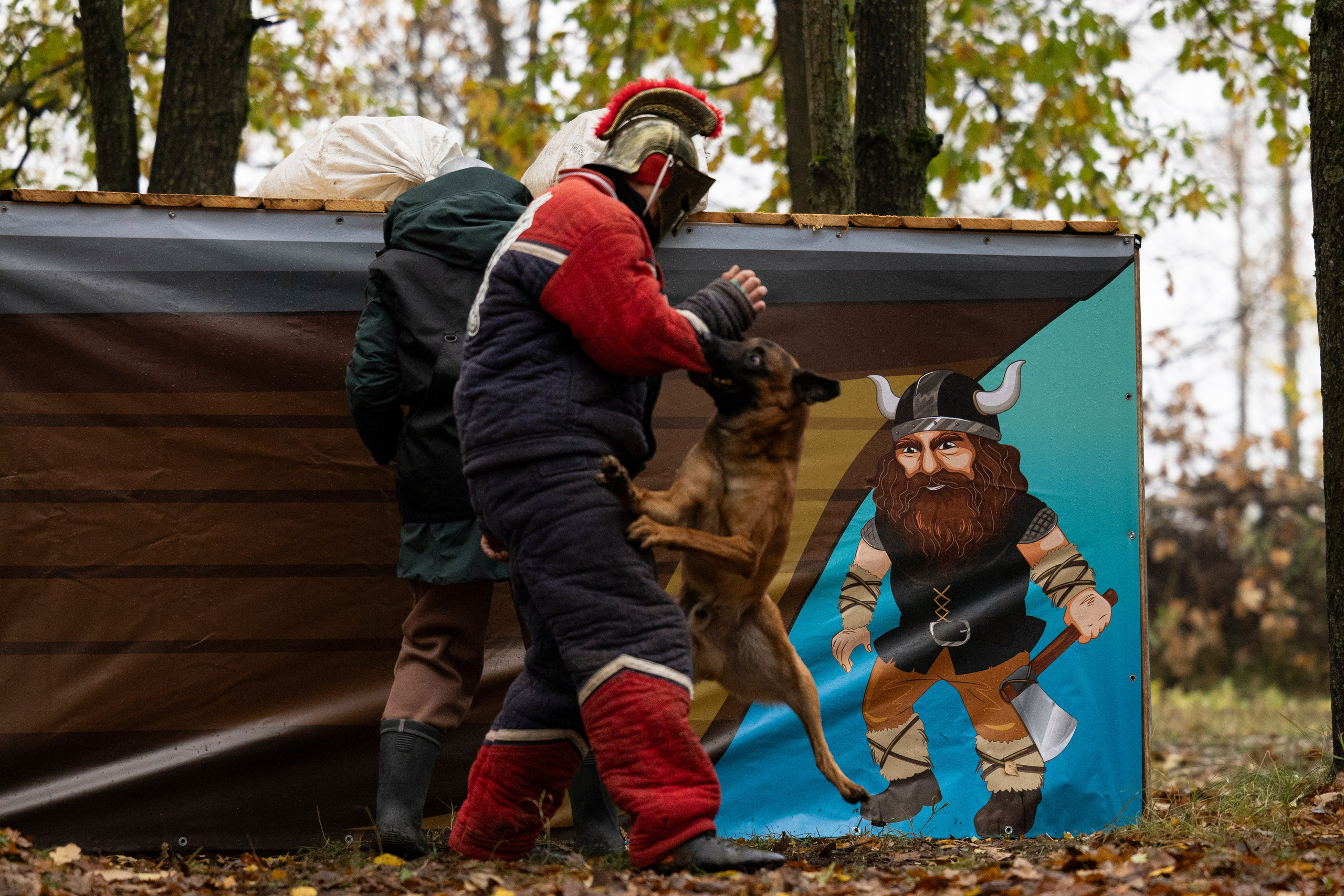 Соревнования по Мондьорингу г. Вологда. Фотограф-анималист Анна Маринич