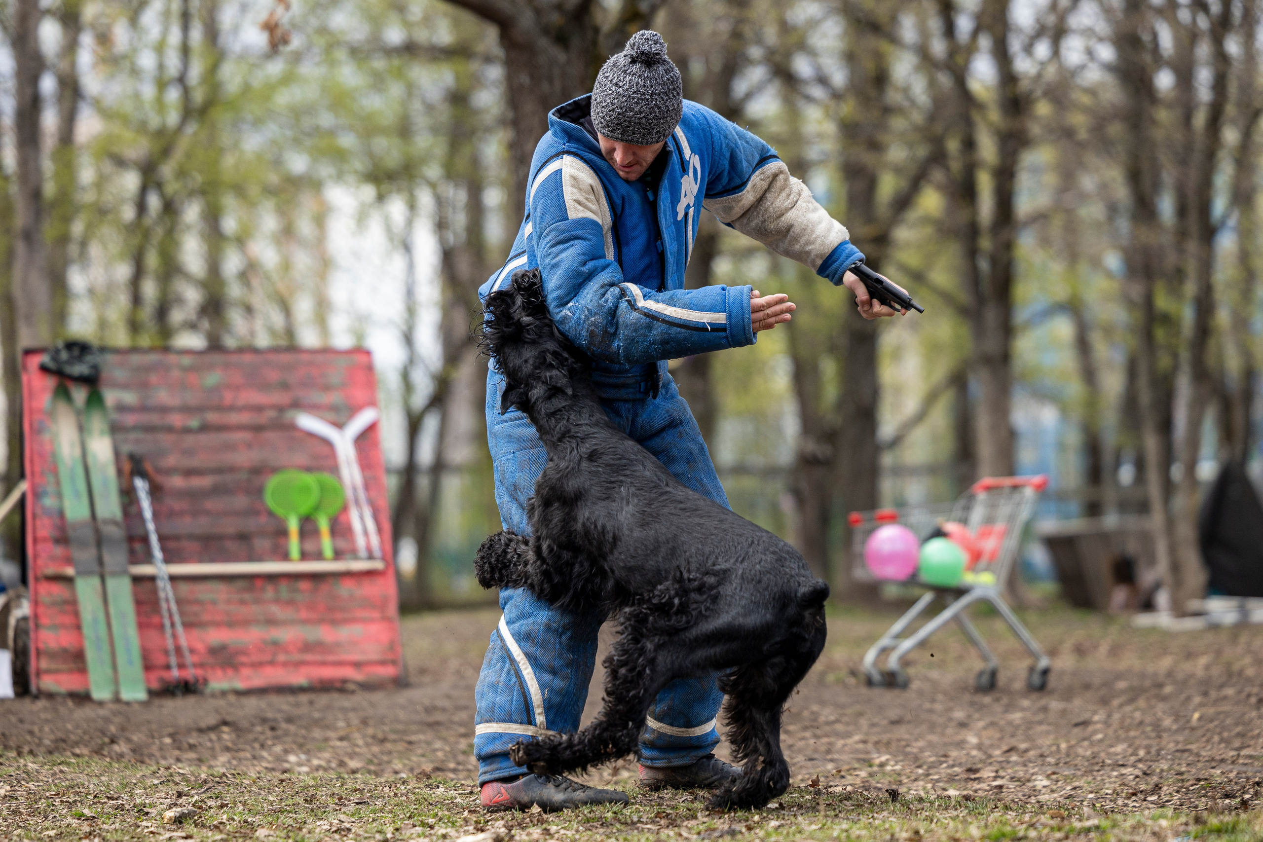 Квалификационные состязания по мондьорингу г. Вологда 11.05.24. Фотограф-анималист Анна Маринич