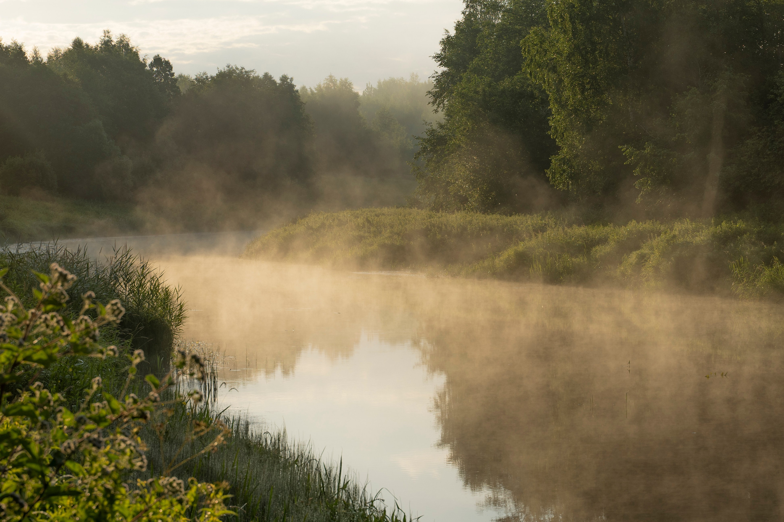 НАД ВОДОЙ. Фотограф Татьяна Андриянова