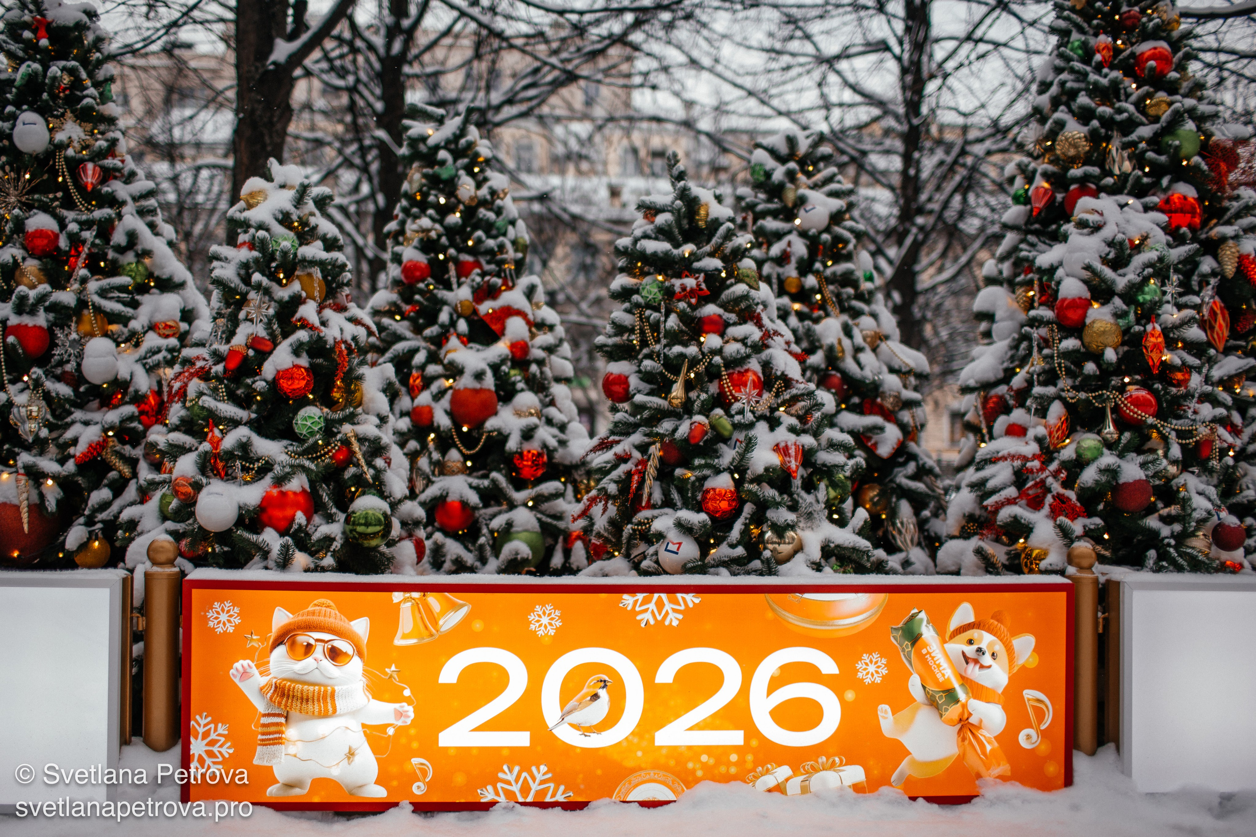 Новогодние Локации 1 января 2026. Фотограф Светлана Петрова