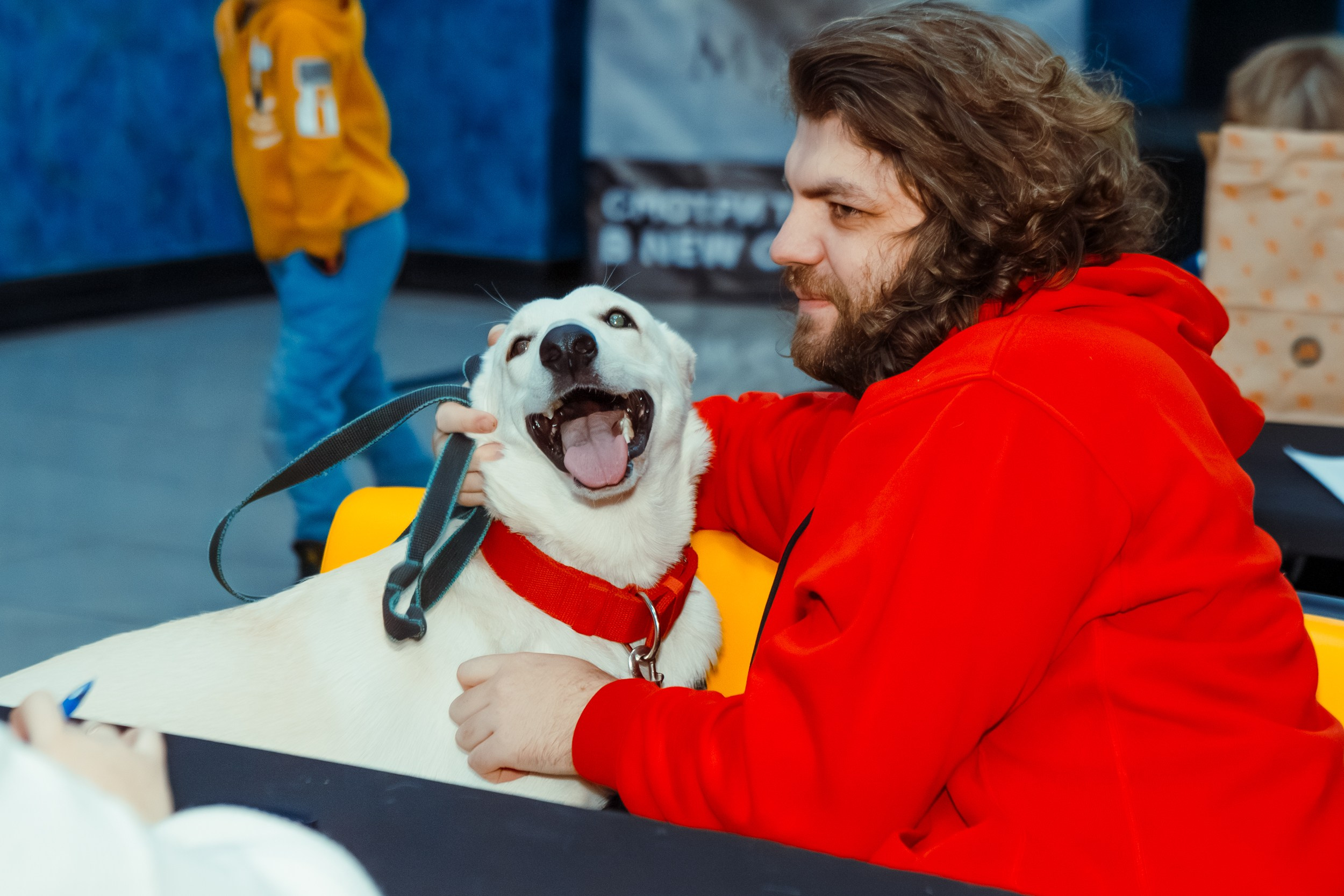 Dog-friendly киновечер от ФлагманВет. Ksenia de Rossi | Съемка в Самаре