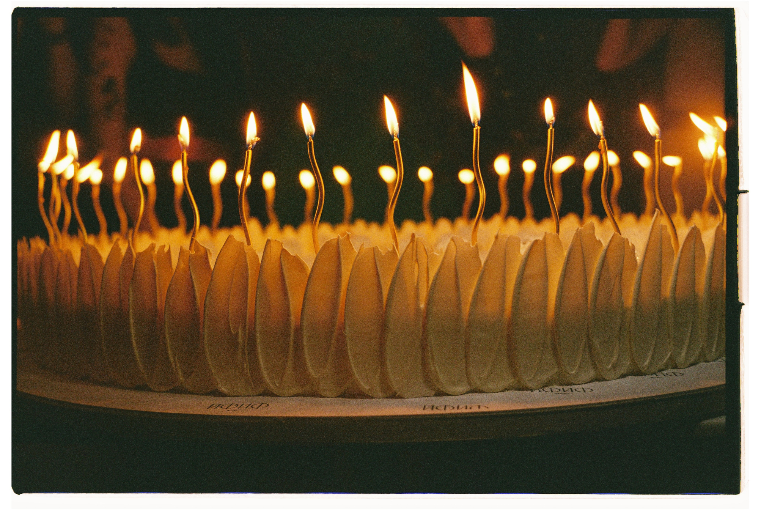 Party. Свадебный и семейный фотограф в Краснодаре Роман Моско