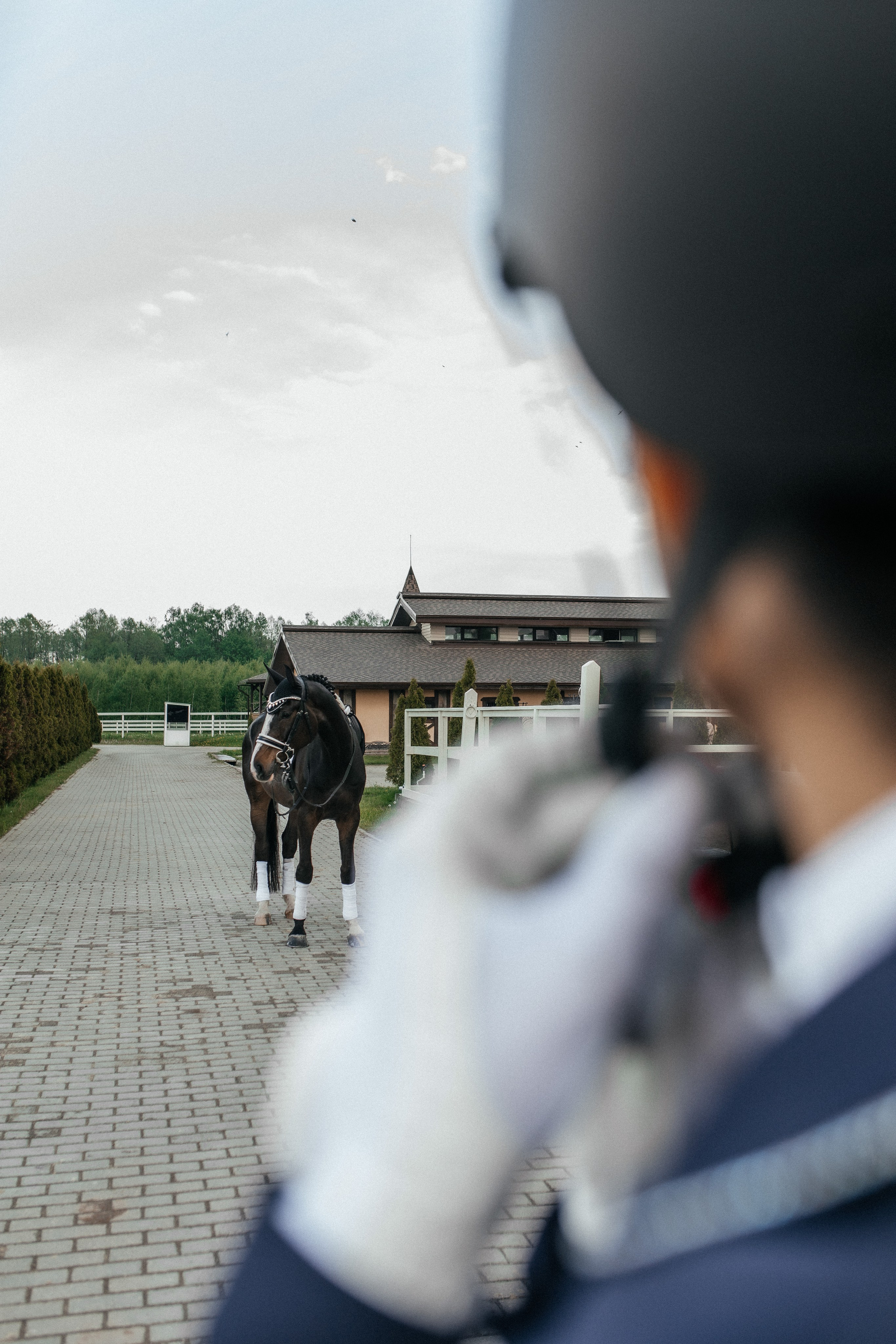 Конная прогулка. Тома и Кеша. Профессиональный фотограф, Москва |Видное Елена Елизарова