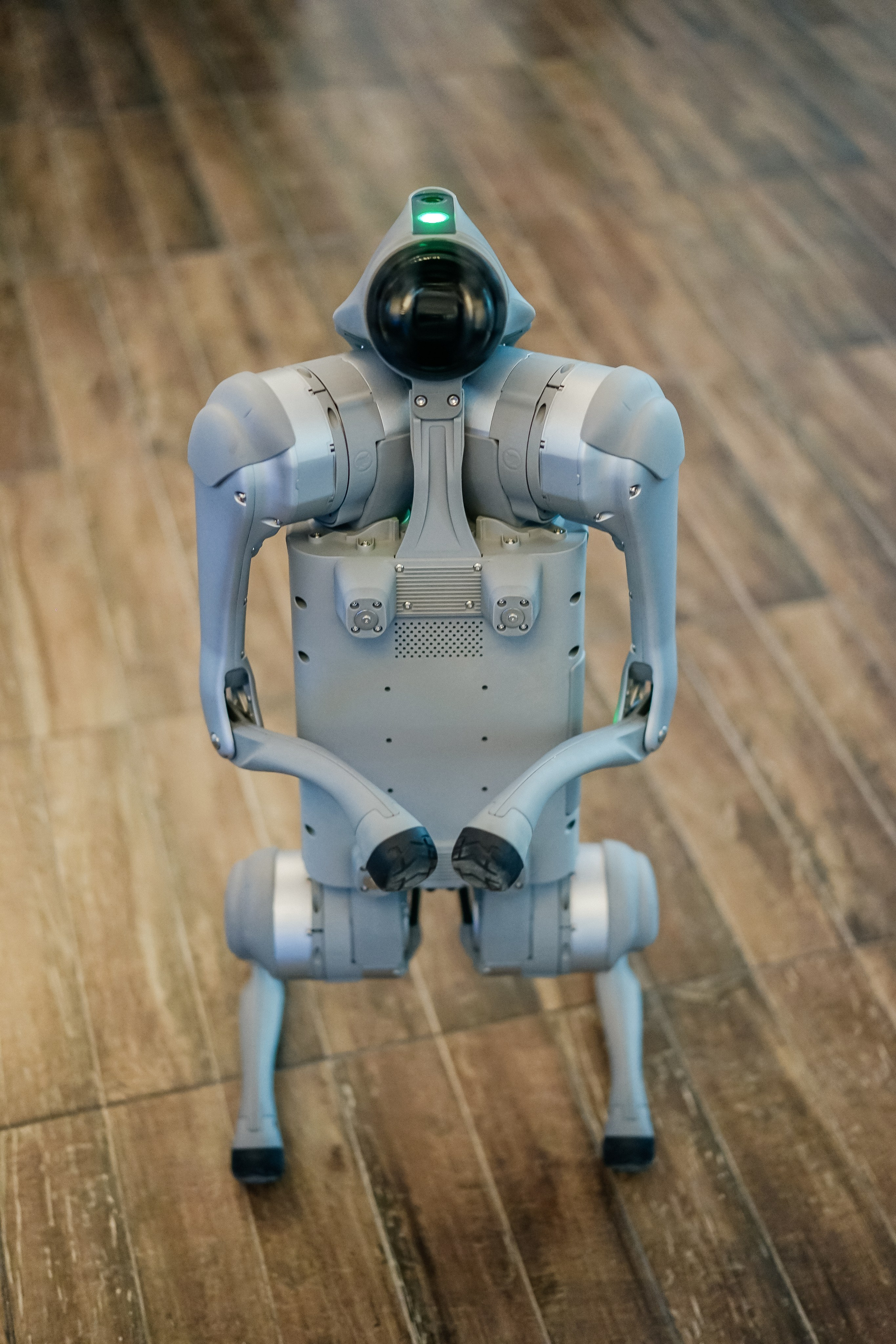 ВИРТУАЛИТИ | Смоленск. Фотограф и видеограф Смоленск | Студия Цезарь