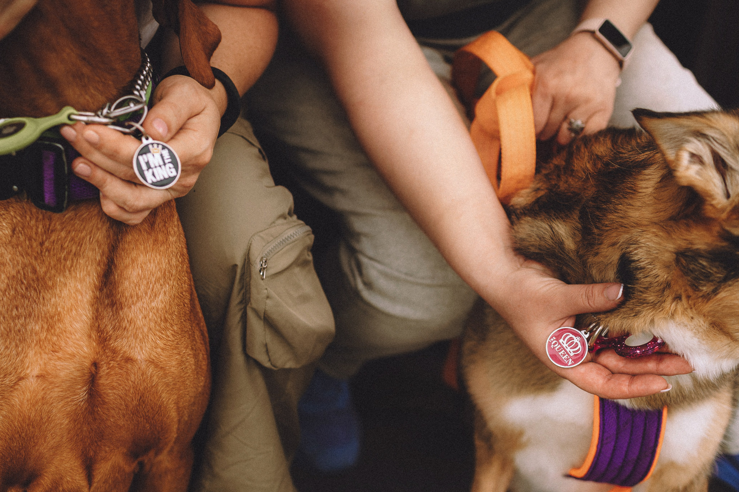 Груша, Данни, Фунтик и их семья