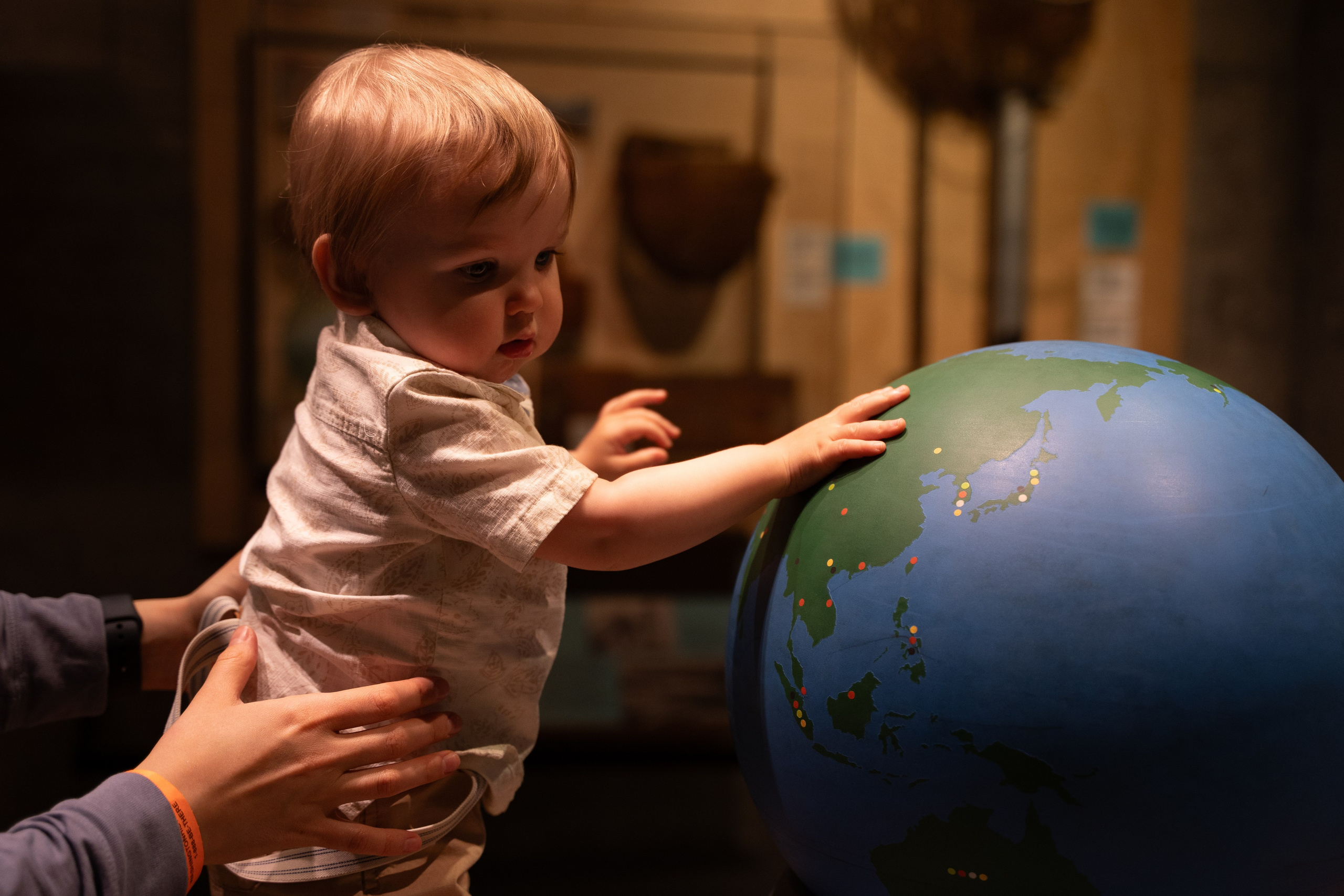 Took root. Wedding & engagement photographer in Seattle, WA. Tania Maureira