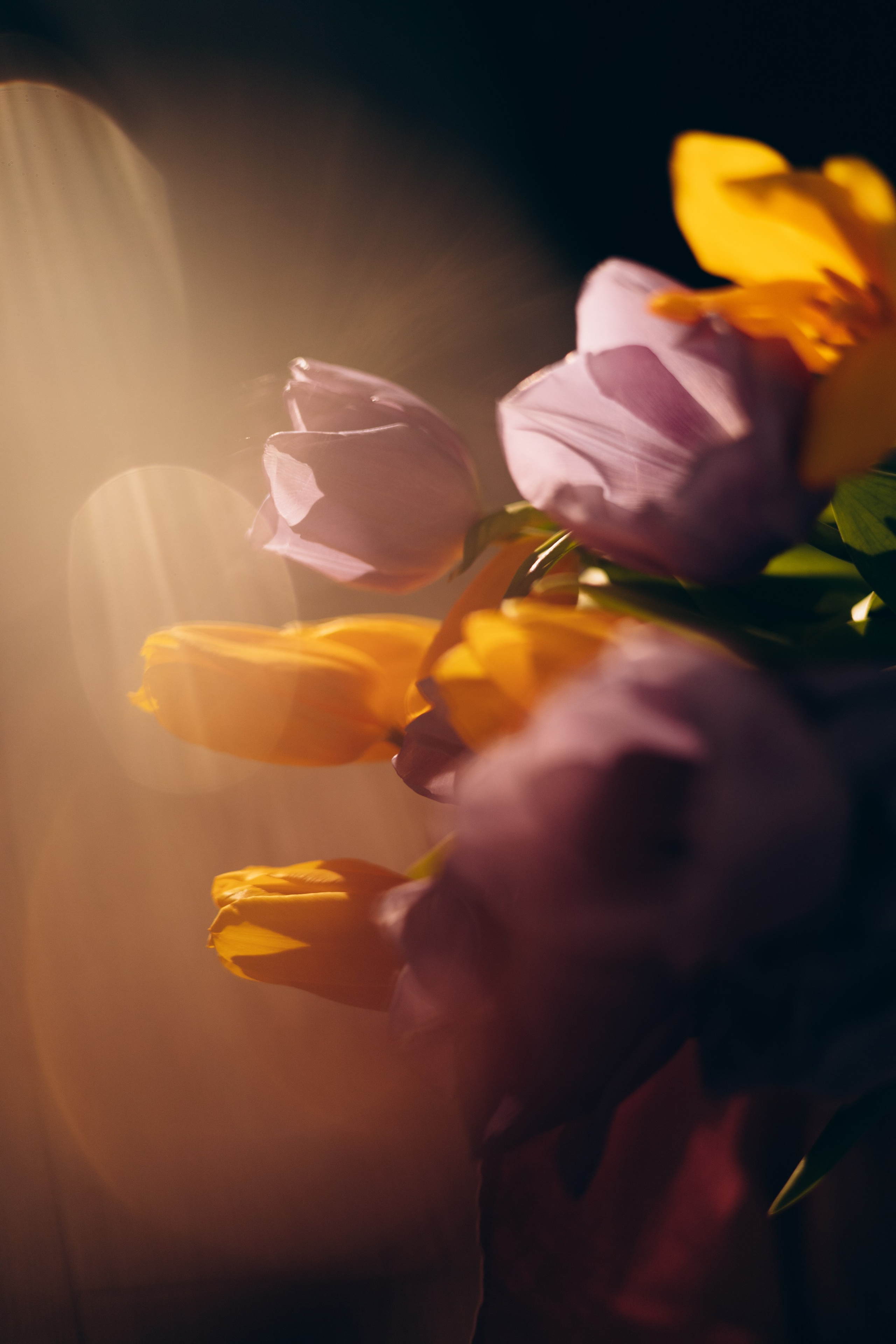 СТУДИЙНЫЕ. Детский и семейный фотограф  Биробиджан Оля Светагор