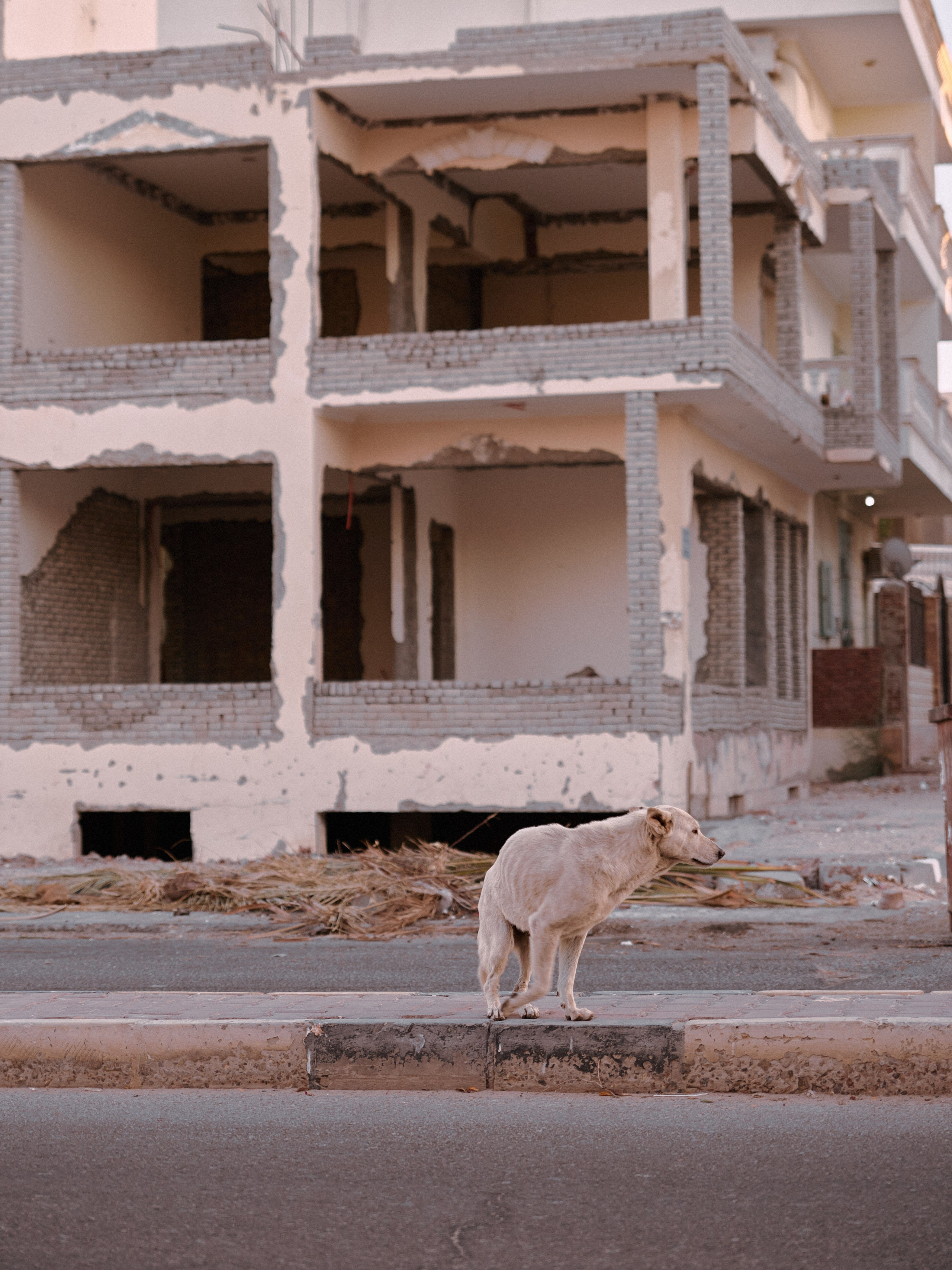 Диптих. Jorgis — фотограф в Хургаде / обучение фотографии