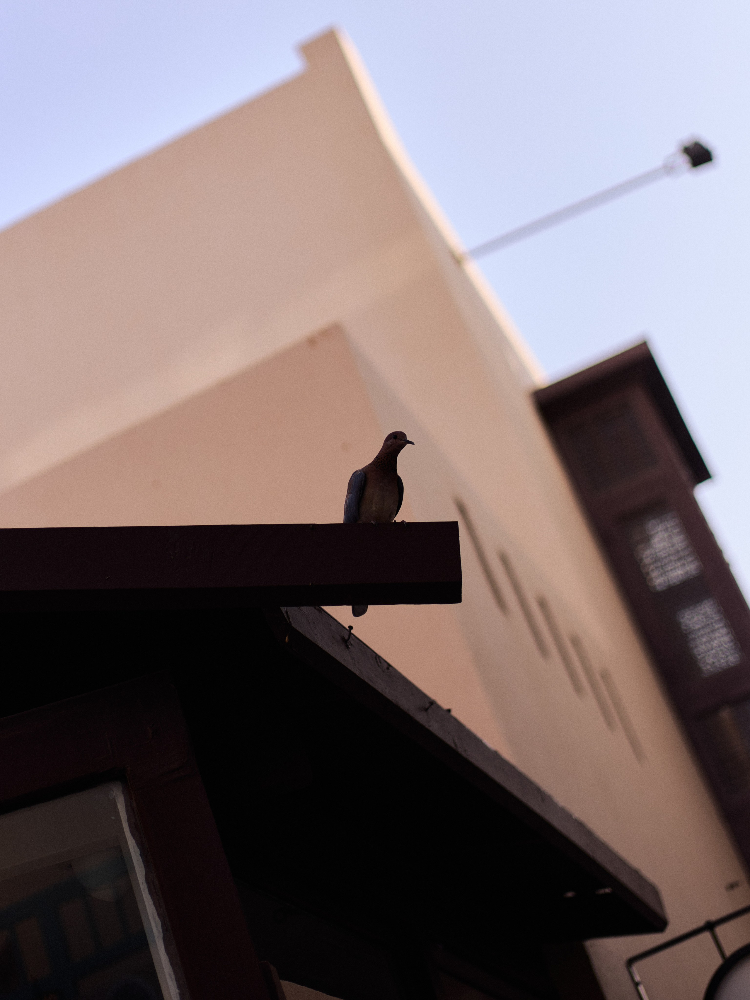 Другое 3. Jorgis Talè — photographer, kind person, teacher of arts and other mag