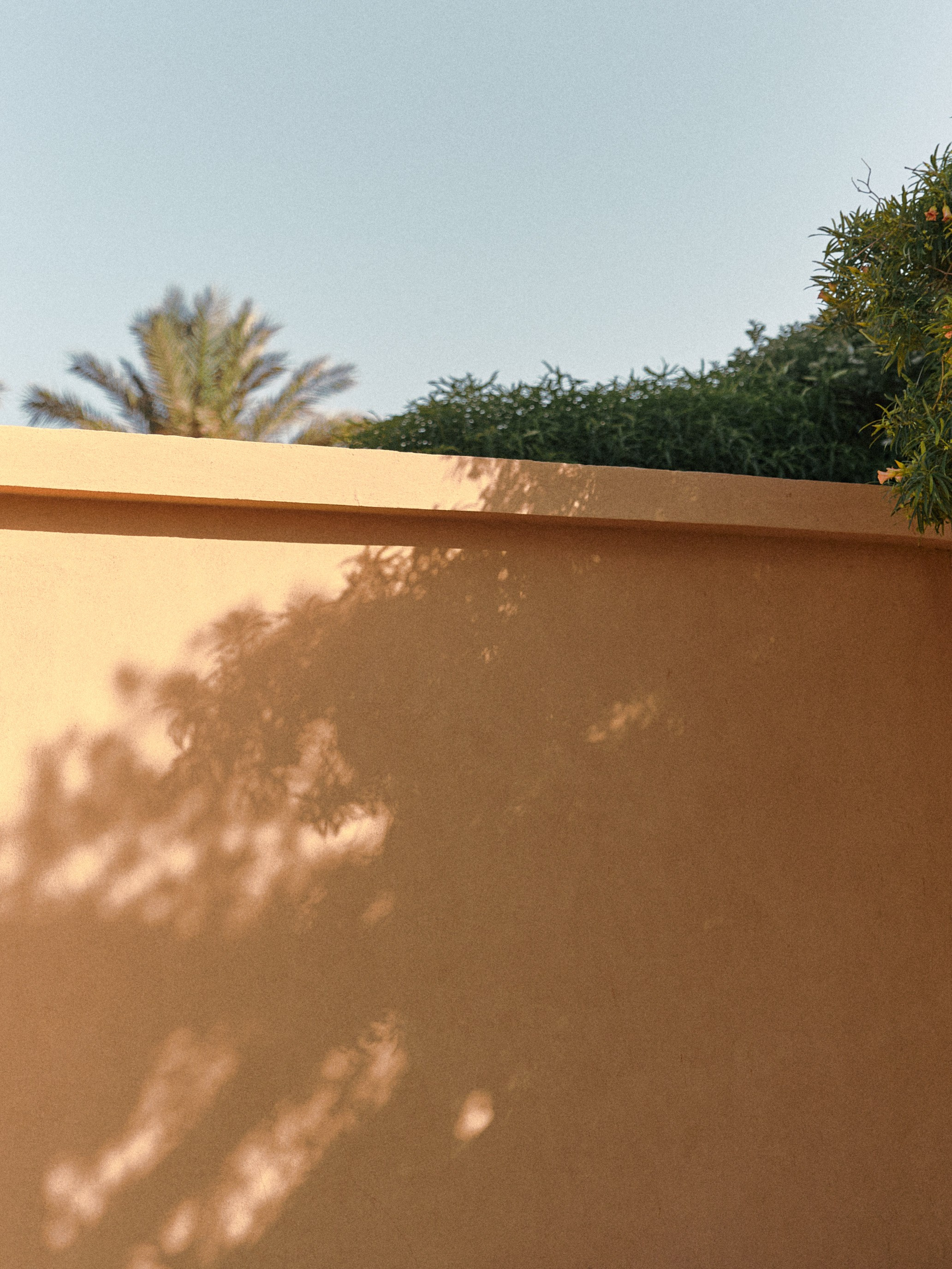 Диптих. Jorgis — фотограф в Хургаде / обучение фотографии