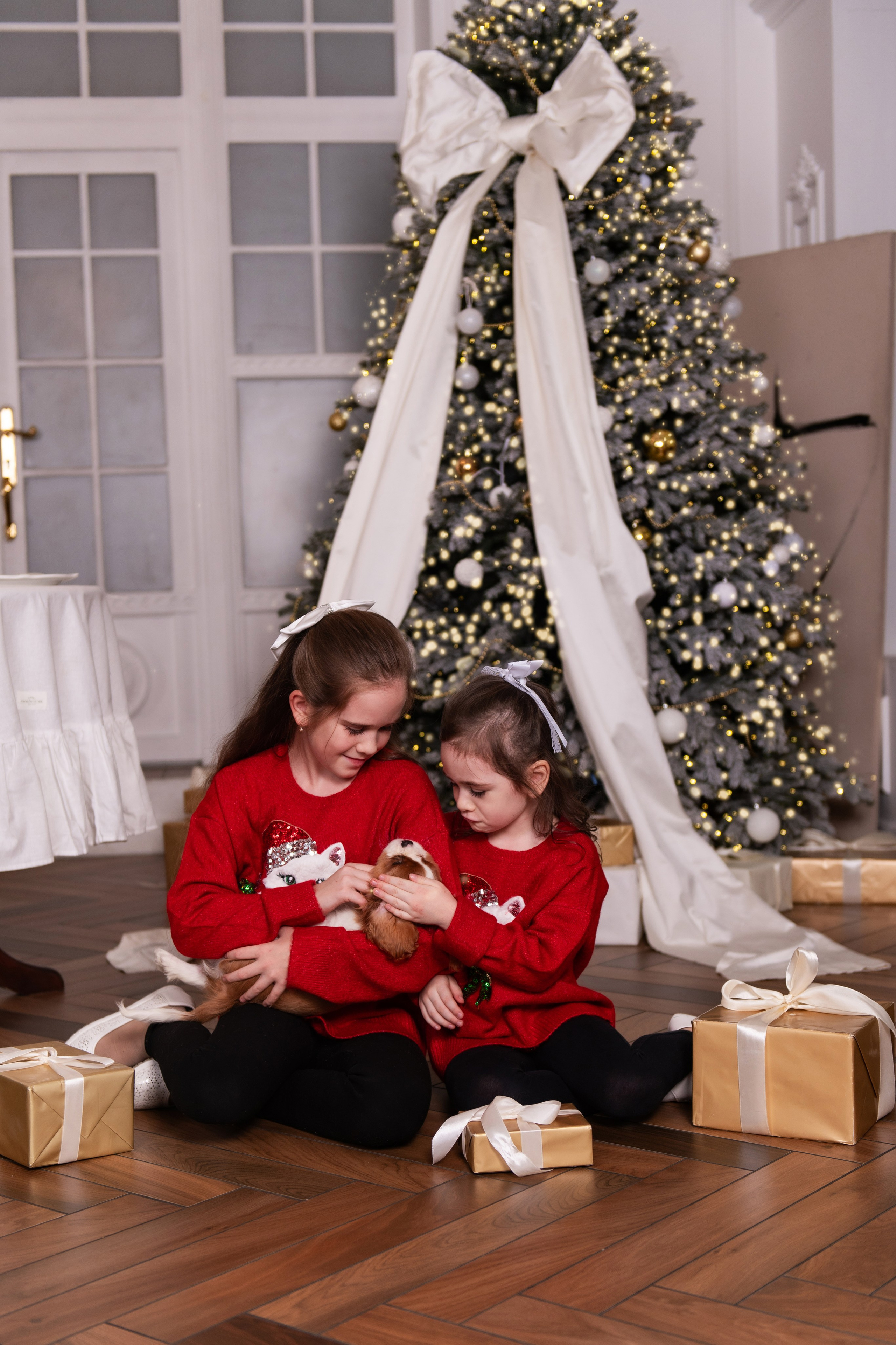 Новогодняя история с любимцем. Свадебный и семейный фотограф в Санкт-Петербурге — Мария Черепанова