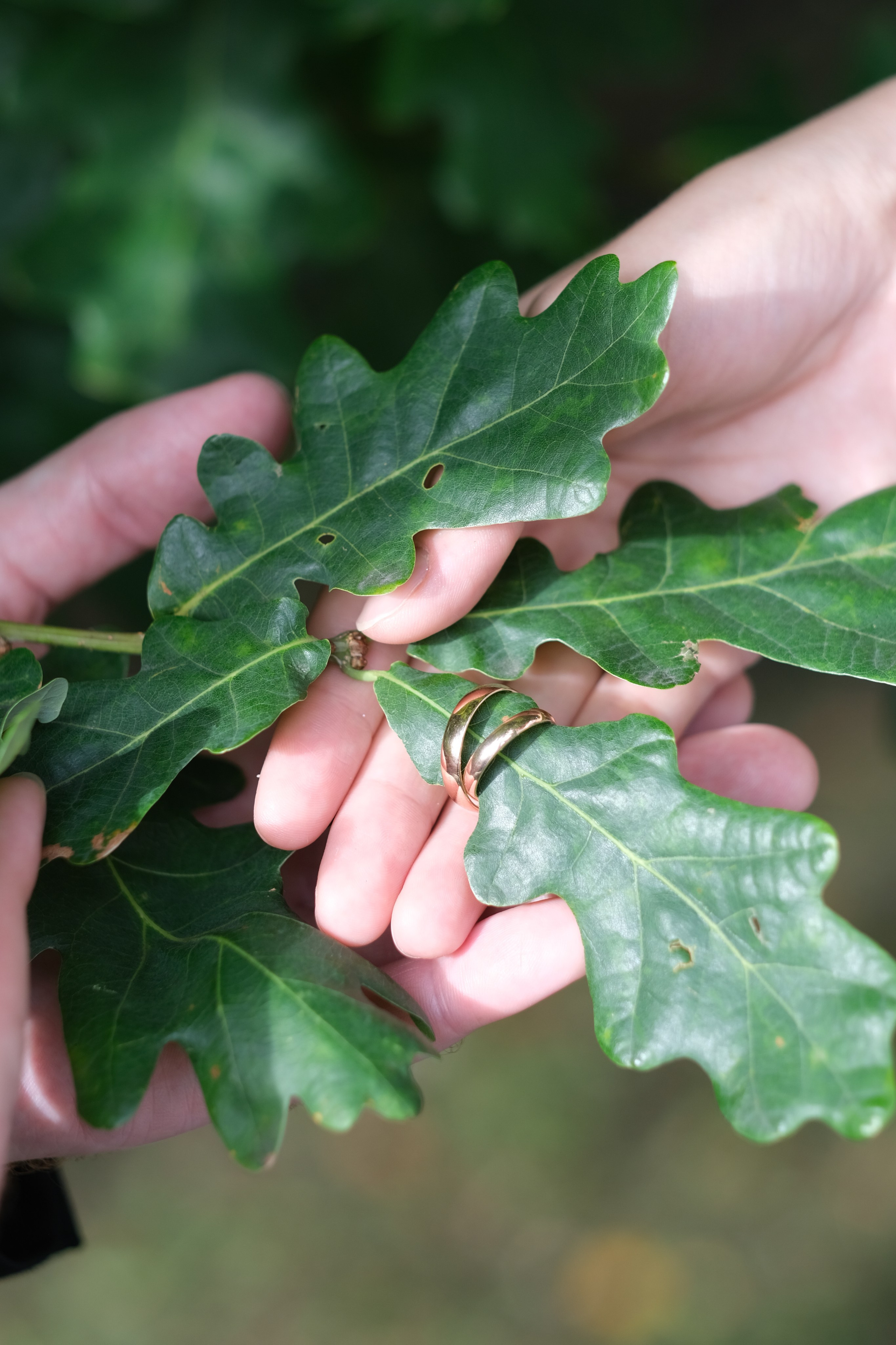 Свадьба Вячеслава и Ульяны. Свадебный фотограф в Челябинске Сырчикова Наталья