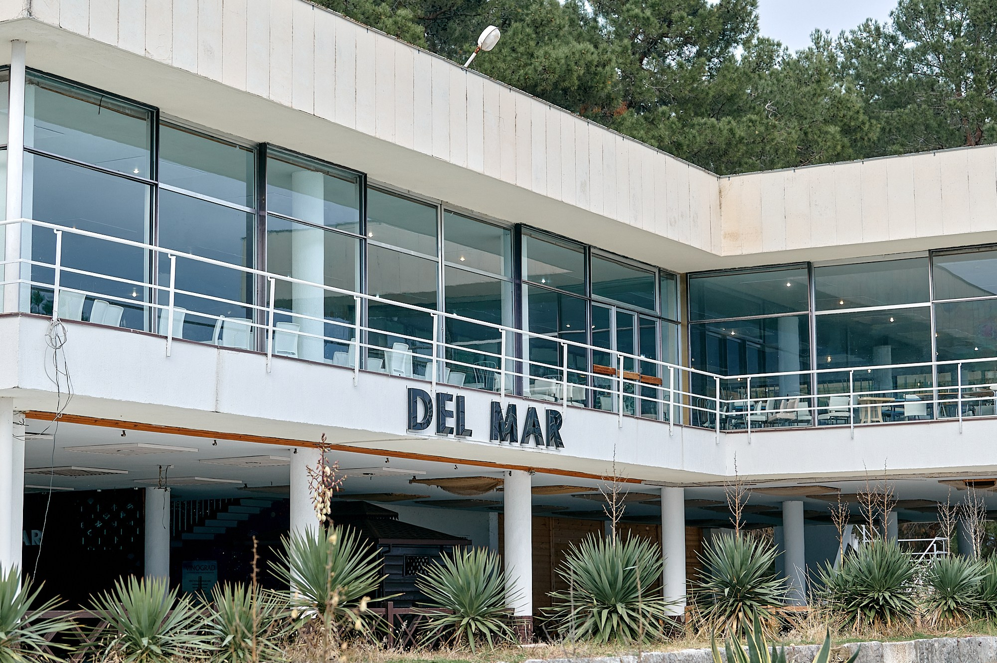 Пицунда, Абхазия. Декабрь 2024. Фотографии отовсюду и обо всем