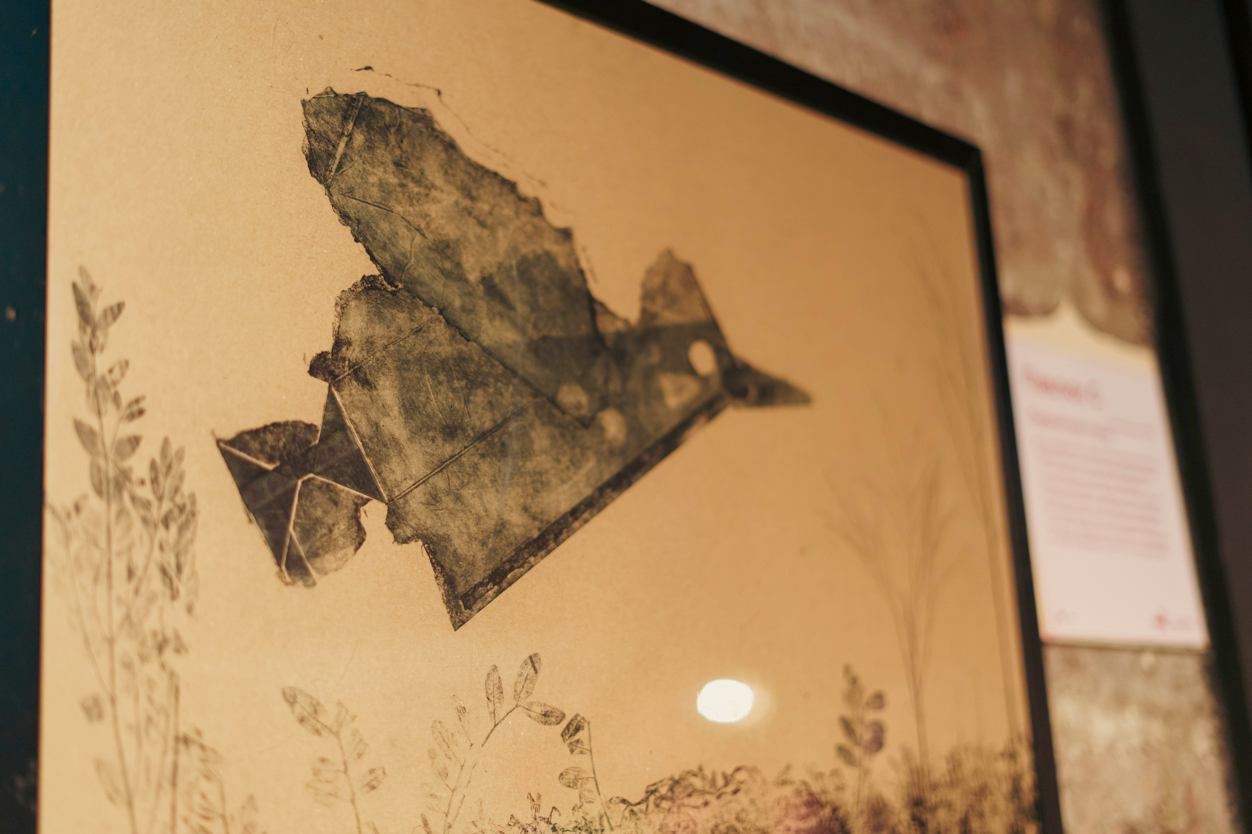 Выставка «Скотъ». Фотограф в Санкт-Петербурге Ибрагимова Алина