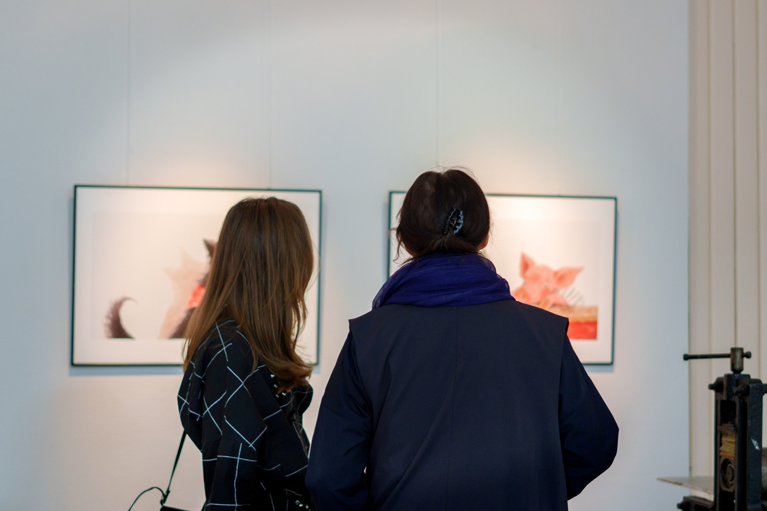 Открытие 11 фестиваля анималистики «Зооарт». Фотограф в Санкт-Петербурге Ибрагимова Алина