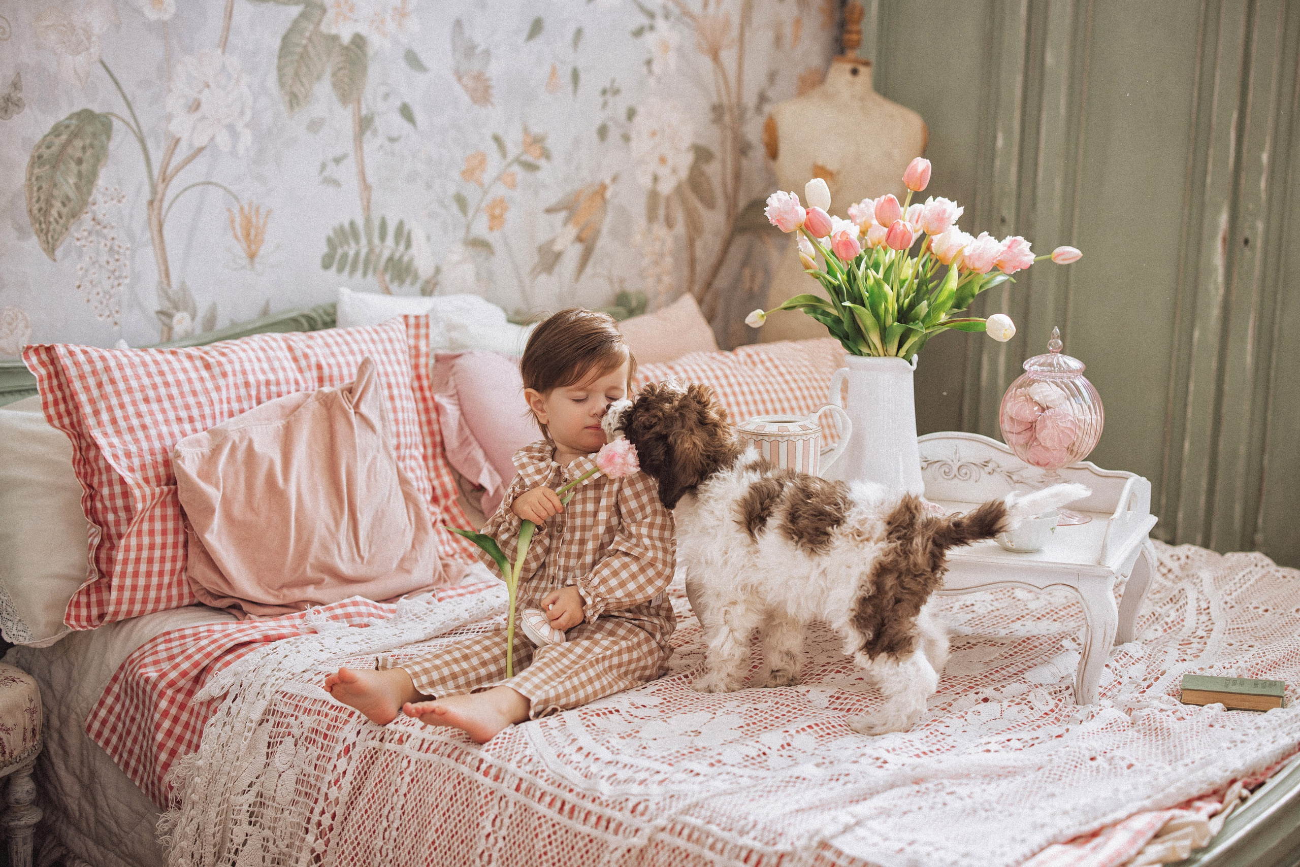 Фотосессия с щенками Лаго́тто-романьо́ло, в Винтажной фотостудии город Краснодар. Семейный и детский фотограф в Краснодаре Анна Трашкова