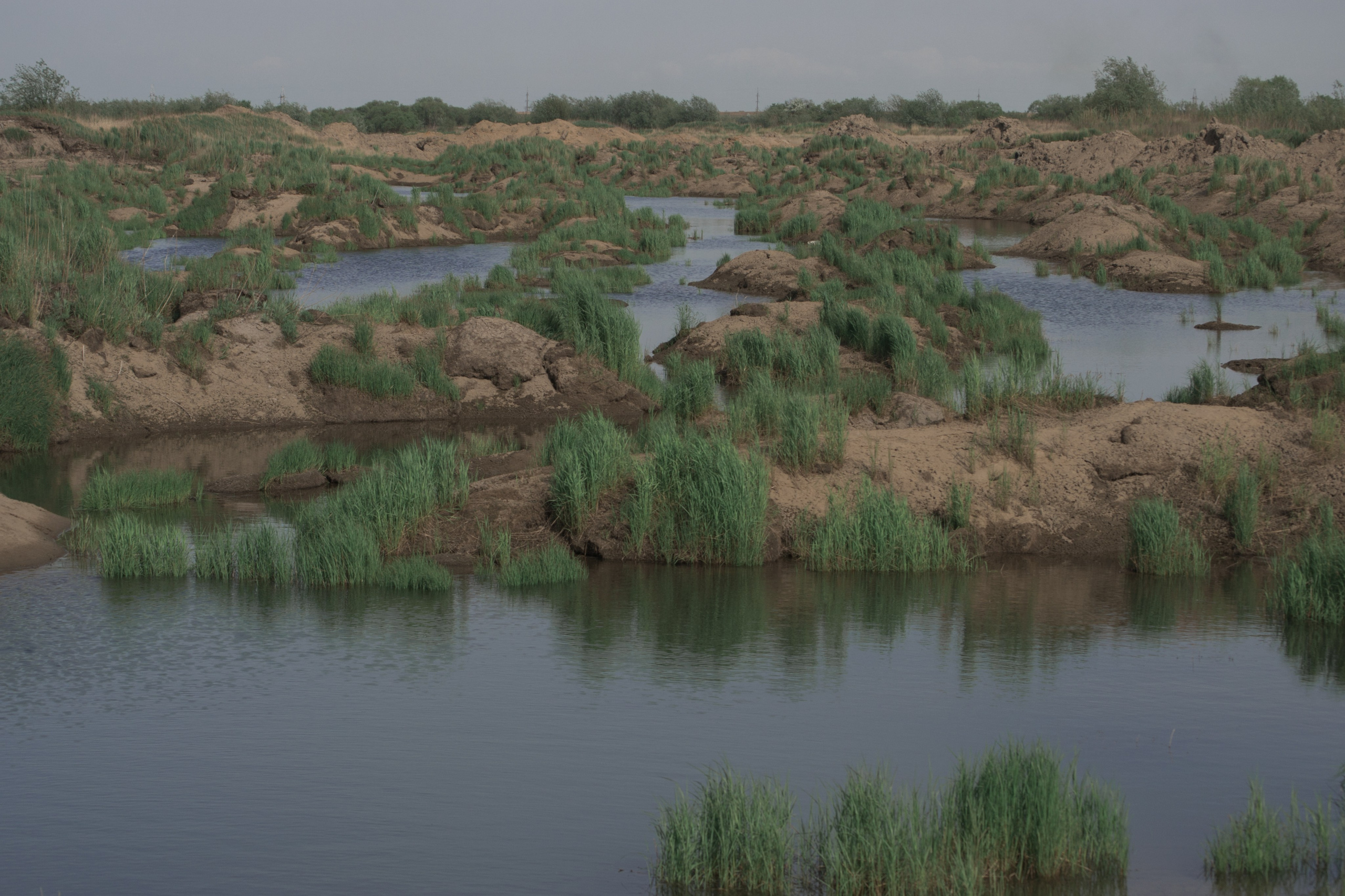 дачи, город, архитектура, стрит, репортажная фотография, фотография, Хабаровск, фотосессия, фотограф, дом, новостройка, улицы, жизнь города, town, art, photo, photographer, photo, Khabarovsk, Far East, street photo, природа, Дальний Восток, тайга, цветы, закат, небо, облака, nature, clouds, forest, flower, sunset