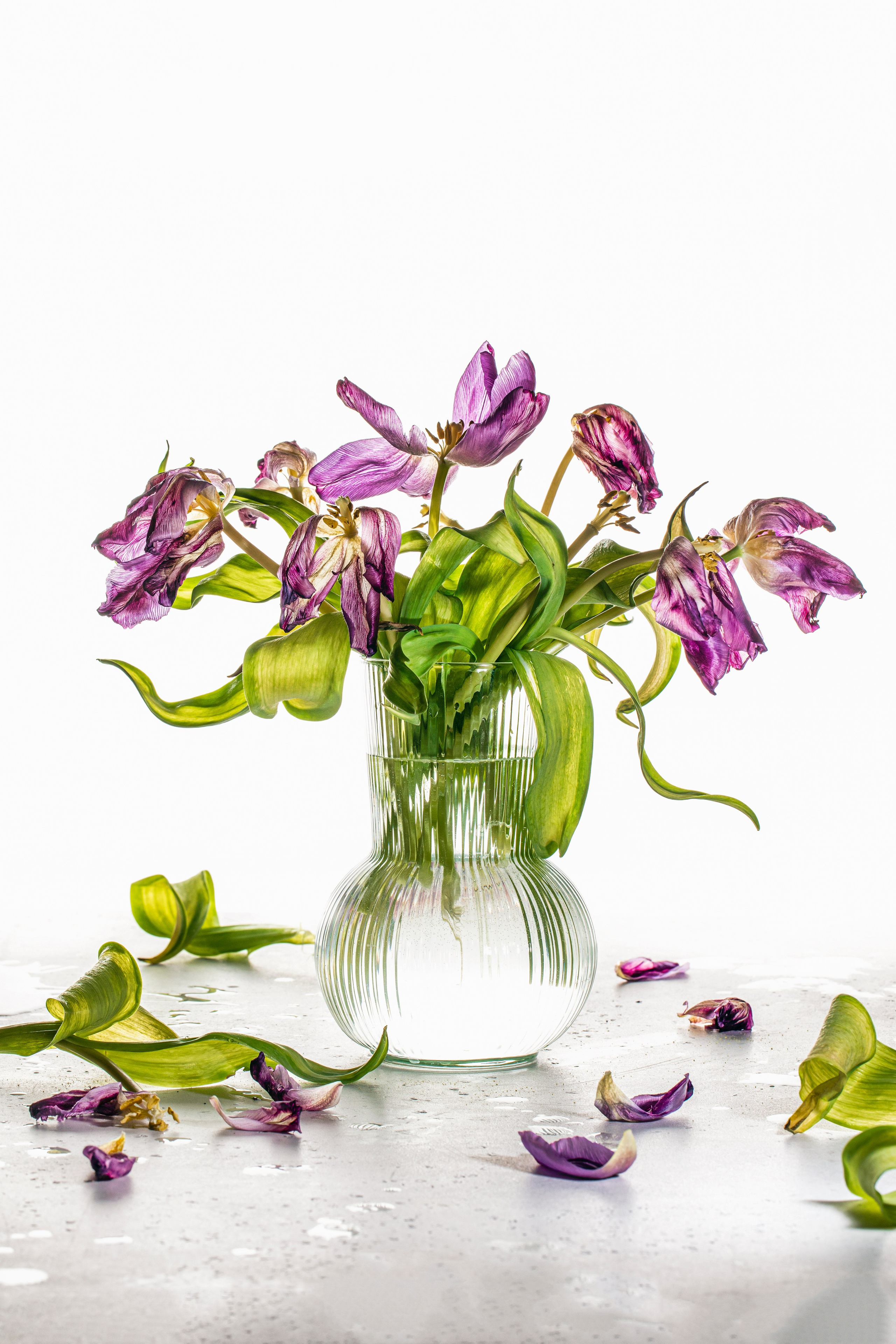 Art Projects. Фудфотограф, фудстилист и сет дизайнер в Москве Алена Синицына