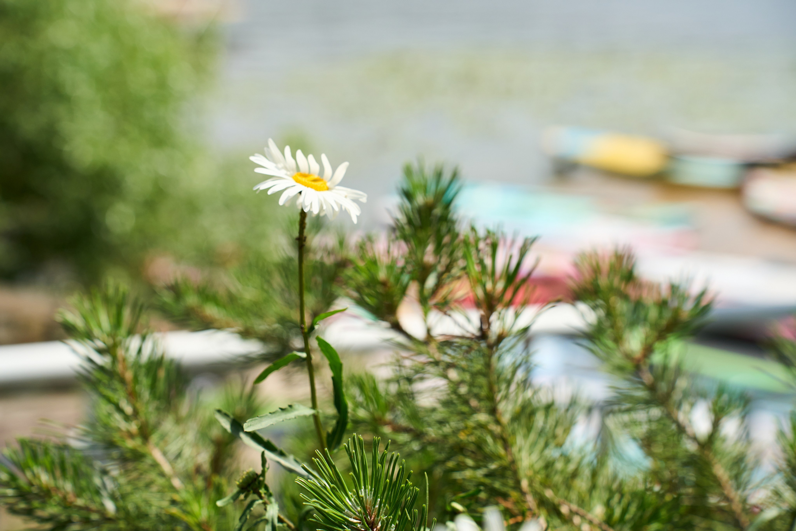 All-hands Третье Мнение 2025. Елизавета Мальгина, фотограф в Москве