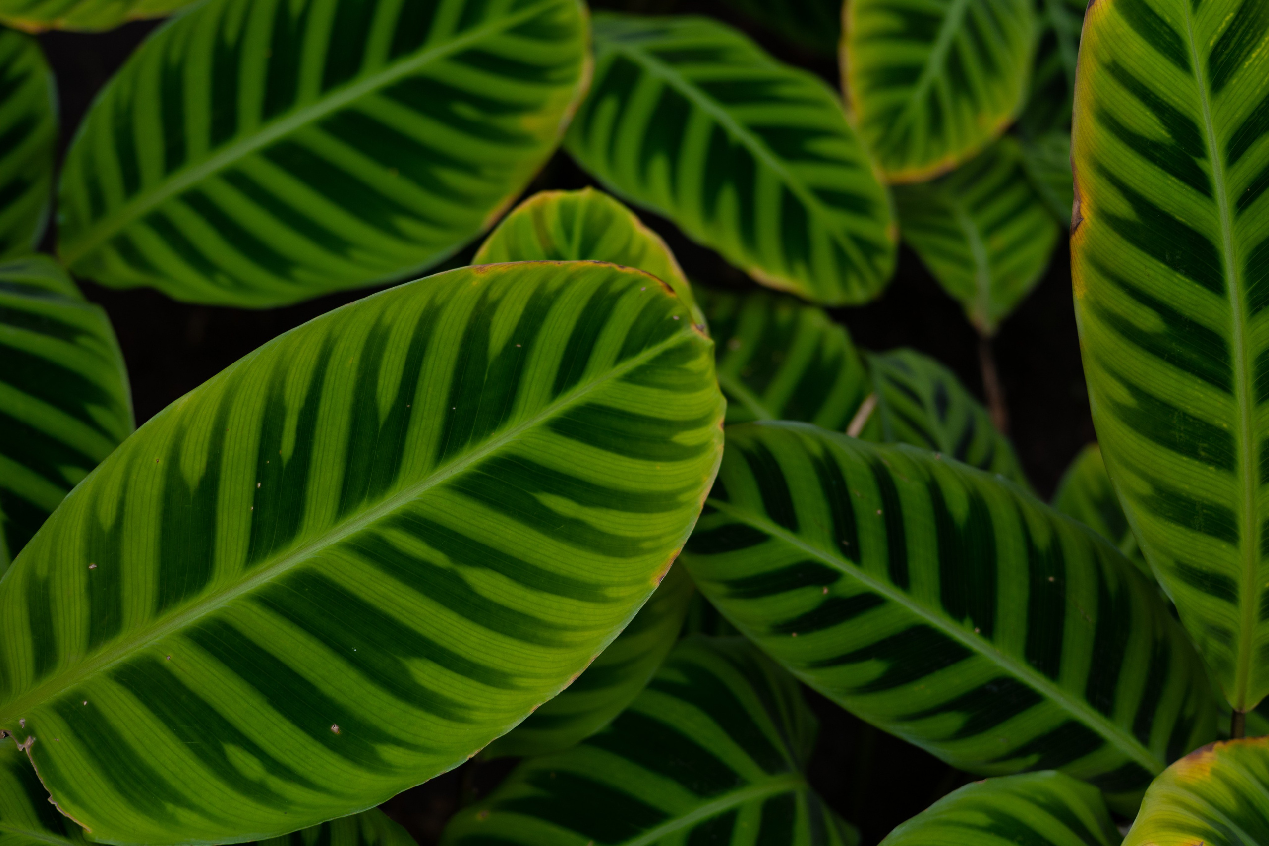 Secret Garden. ITMAG.ME | Visual Art