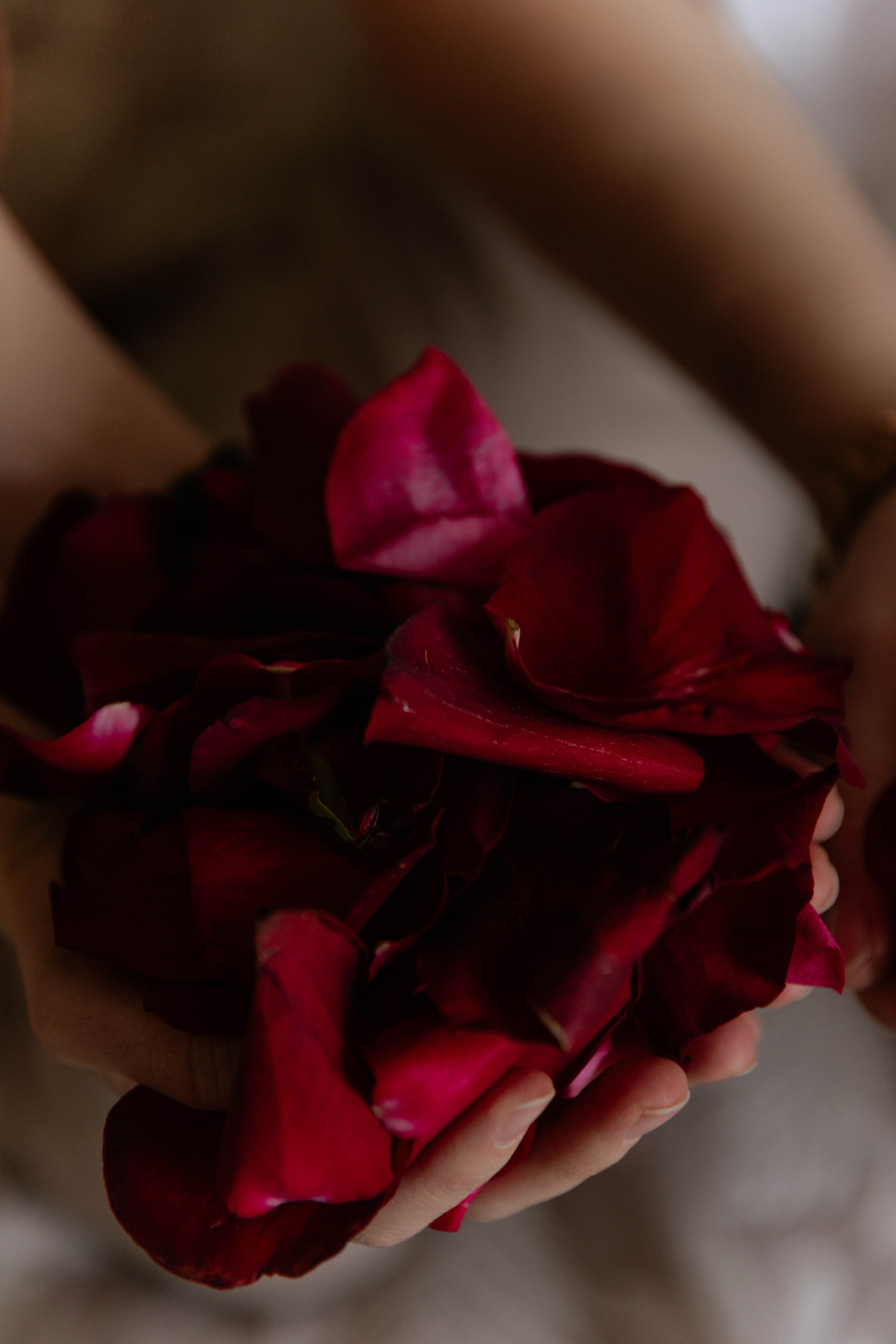 Дарья и Егор. Свадебный и семейный фотограф в Челябинске