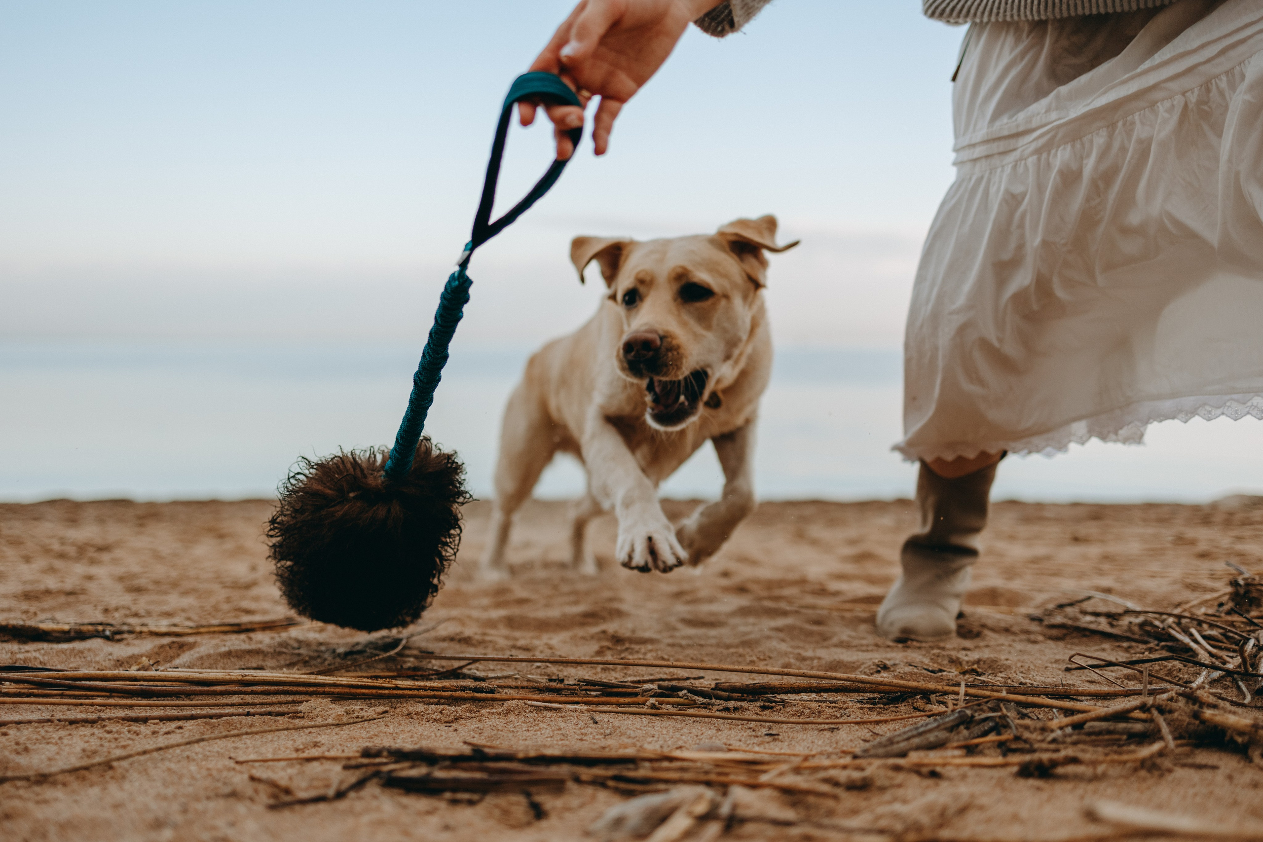 Наташа и Шани. Фотограф — Анималист | Санкт-Петербург