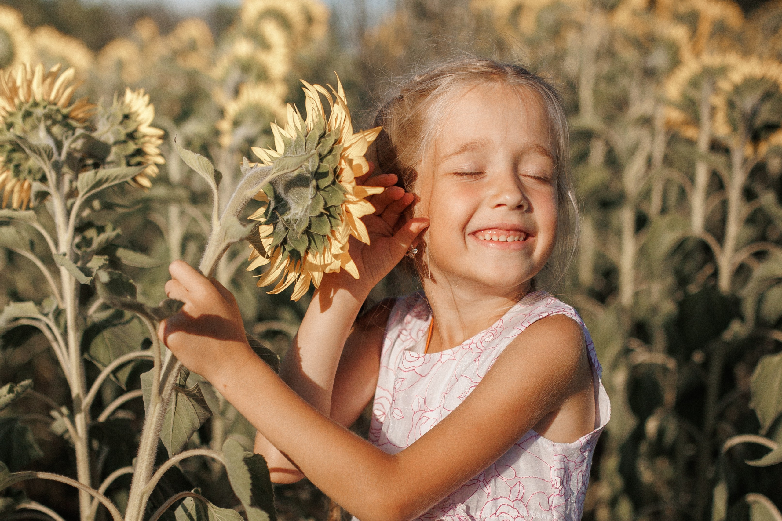 Дети и подсолнухи. Семейный фотограф lifestyle в Новосибирске Елена Шпилевая