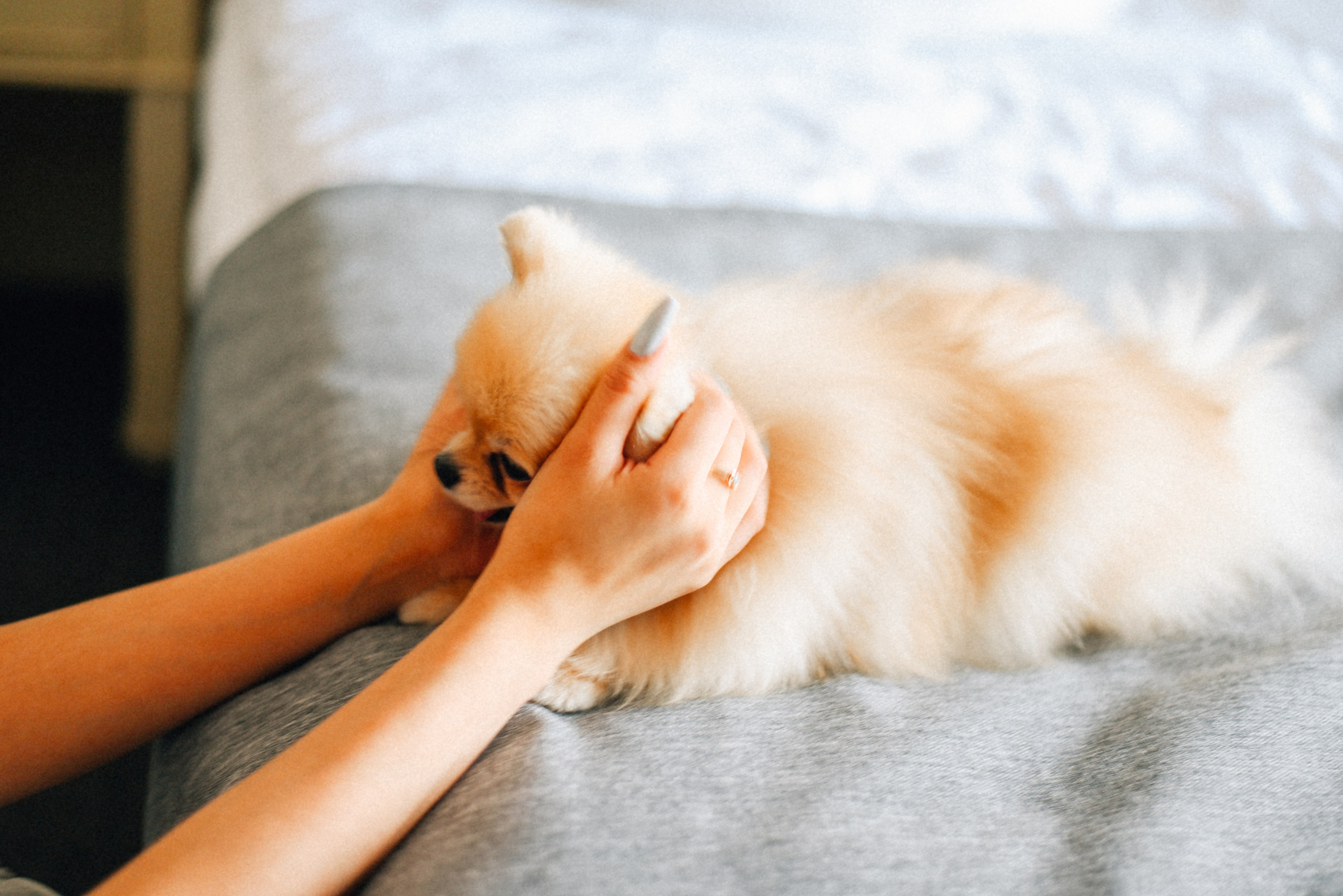 ARBAT HOUSE HOTEL. Фотограф Лола Волна, город Москва