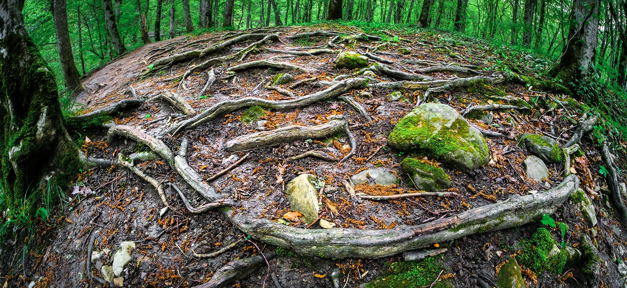 Свадебный фотограф в Геленджике