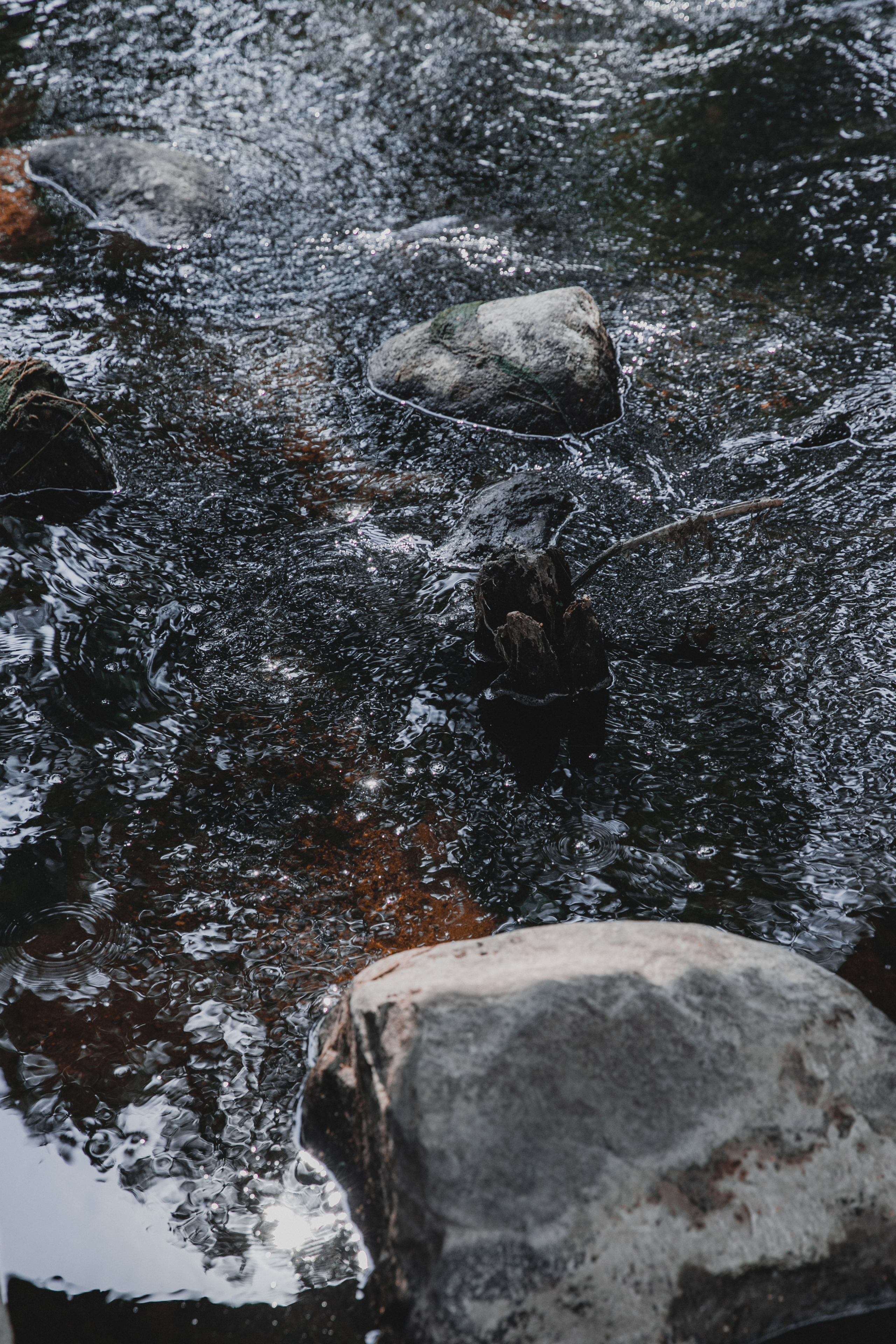 Ораниенбаум. Фотограф и ретушёр Мария Гущина