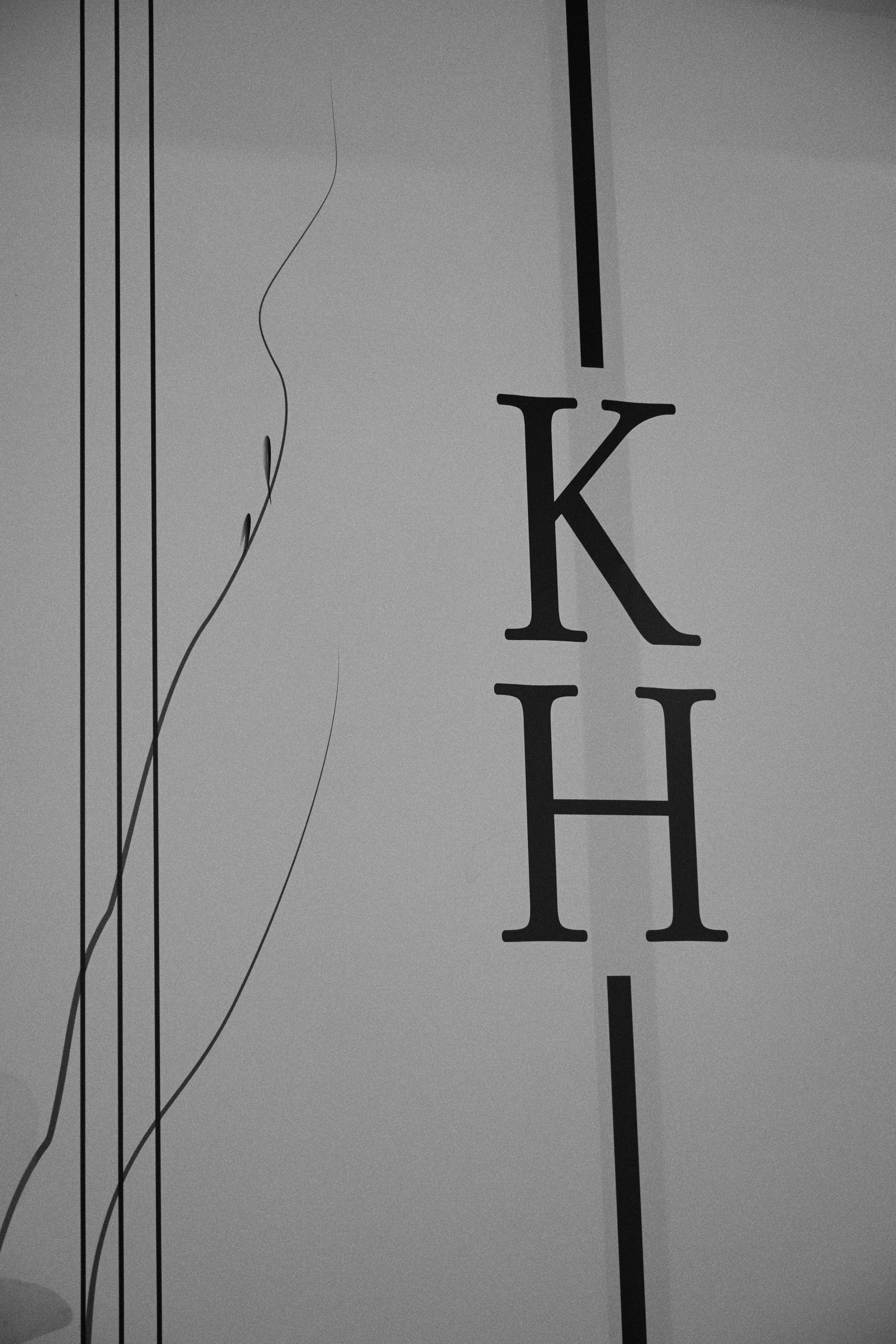 На цыпочках. Фотограф Елена Краснопевцева