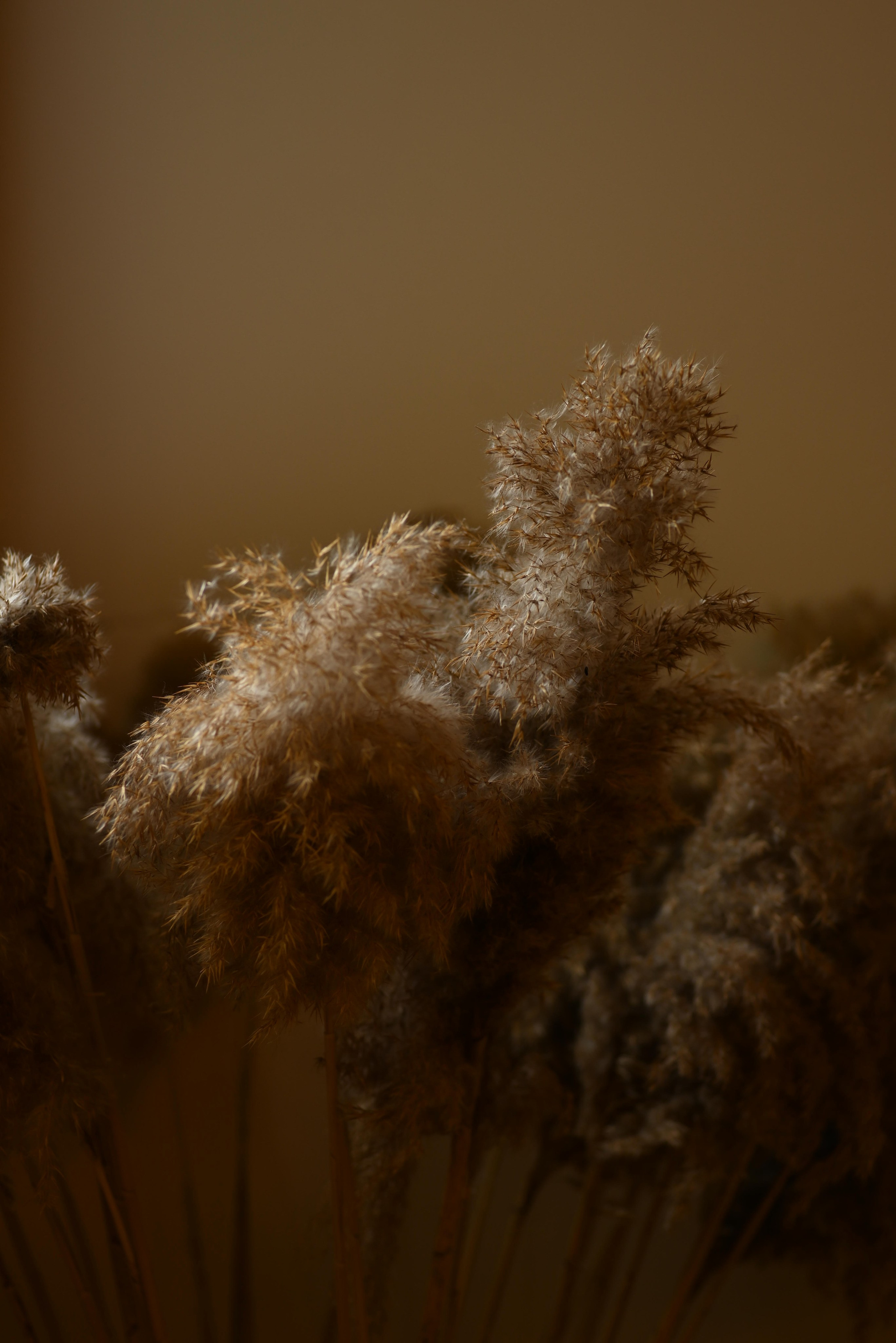 Эльмира контент. Файн арт и контент фотограф в Москве Александра Роскина