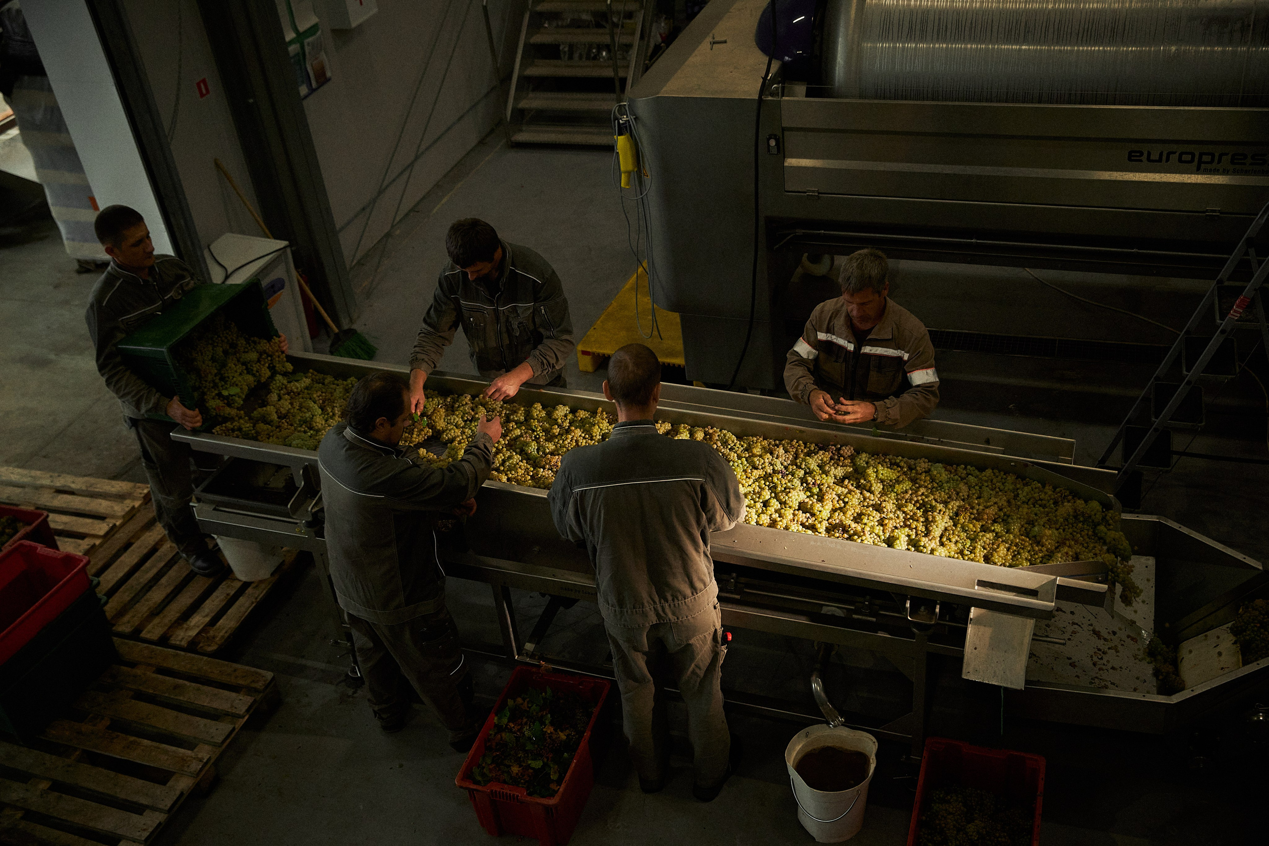 Galitsky & Galitsky. ПОЧЕМУ? СТУДИЯ