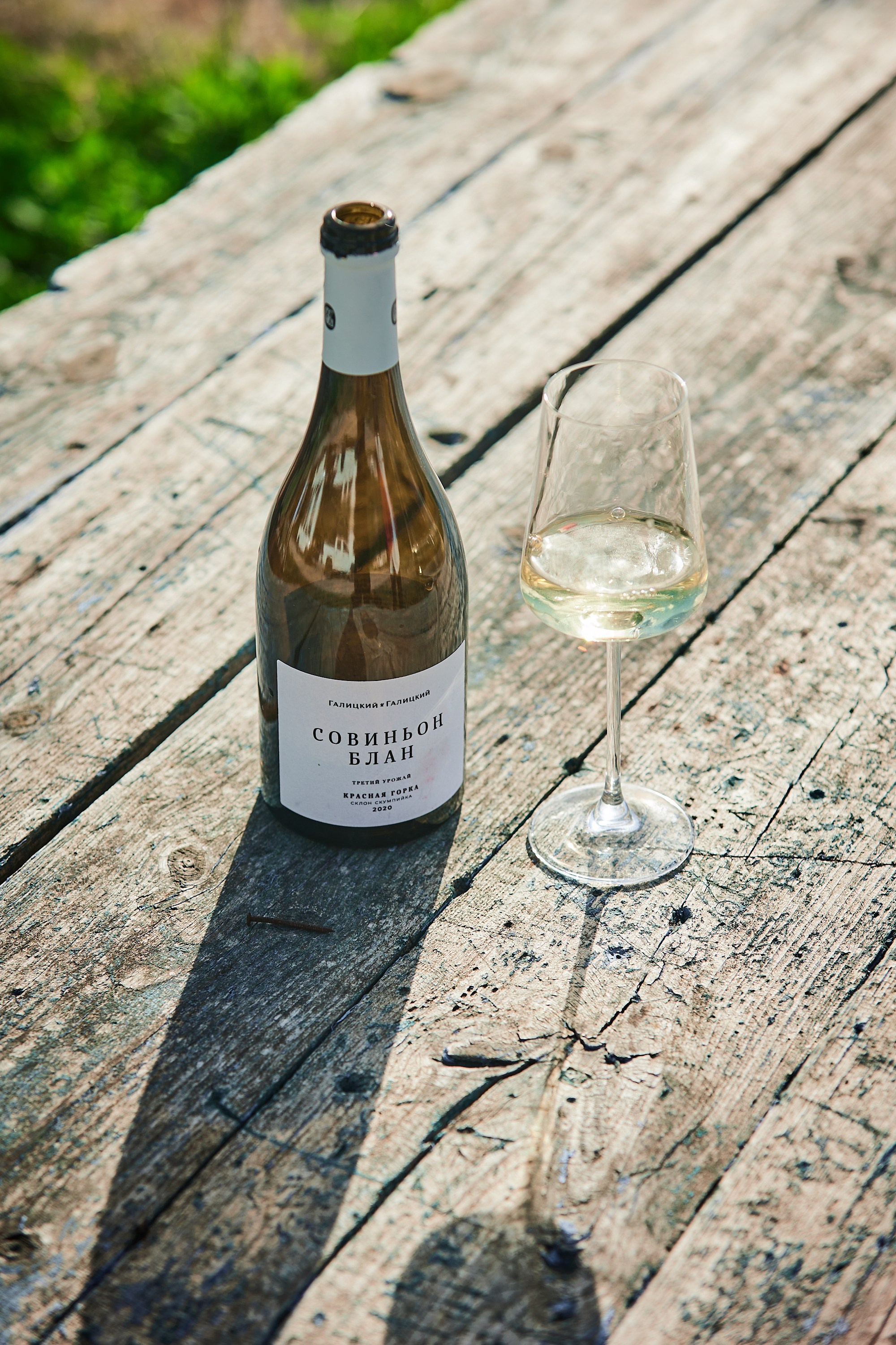 Galitsky & Galitsky. ПОЧЕМУ? СТУДИЯ