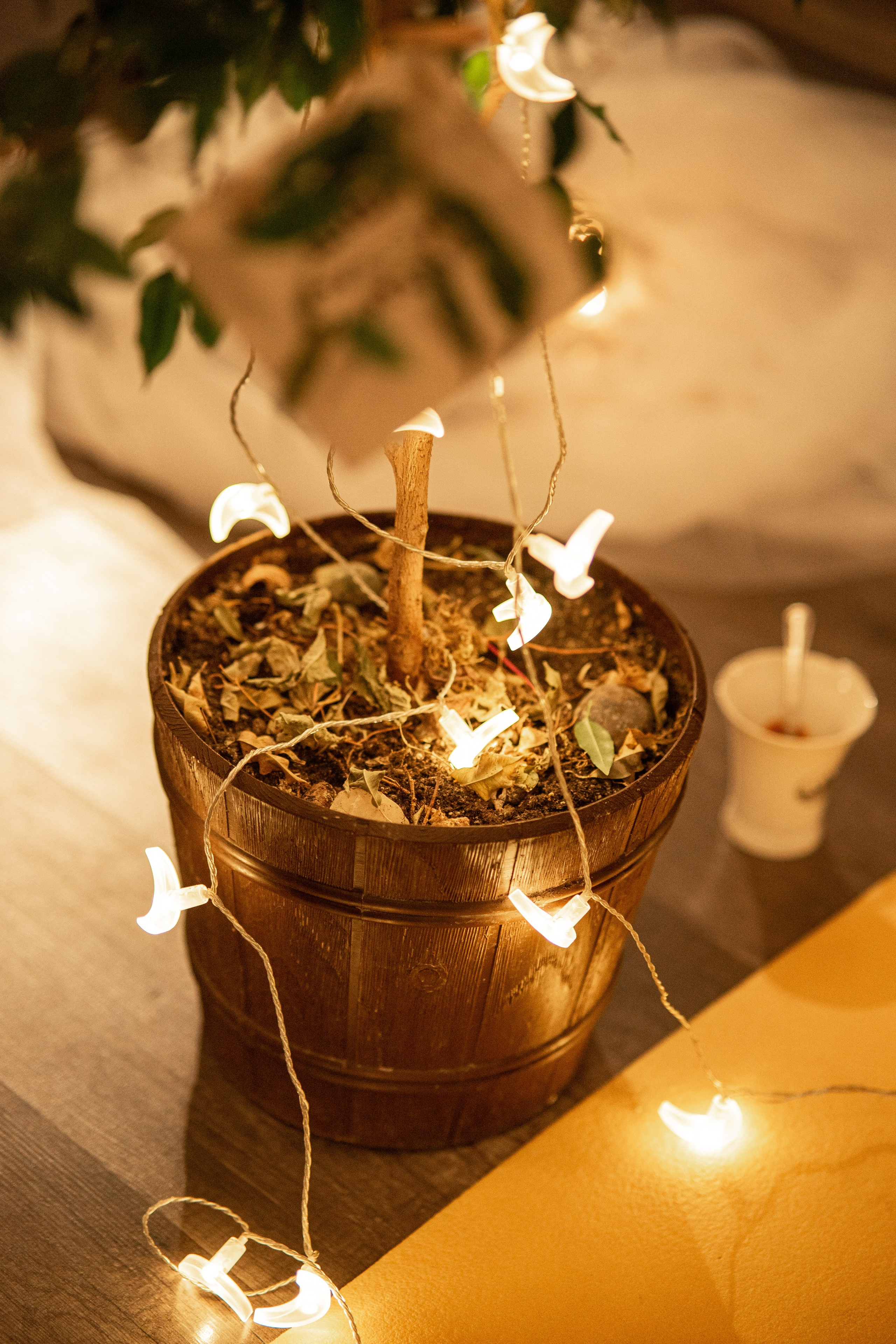 Dance. Фотограф Софья Горбунова