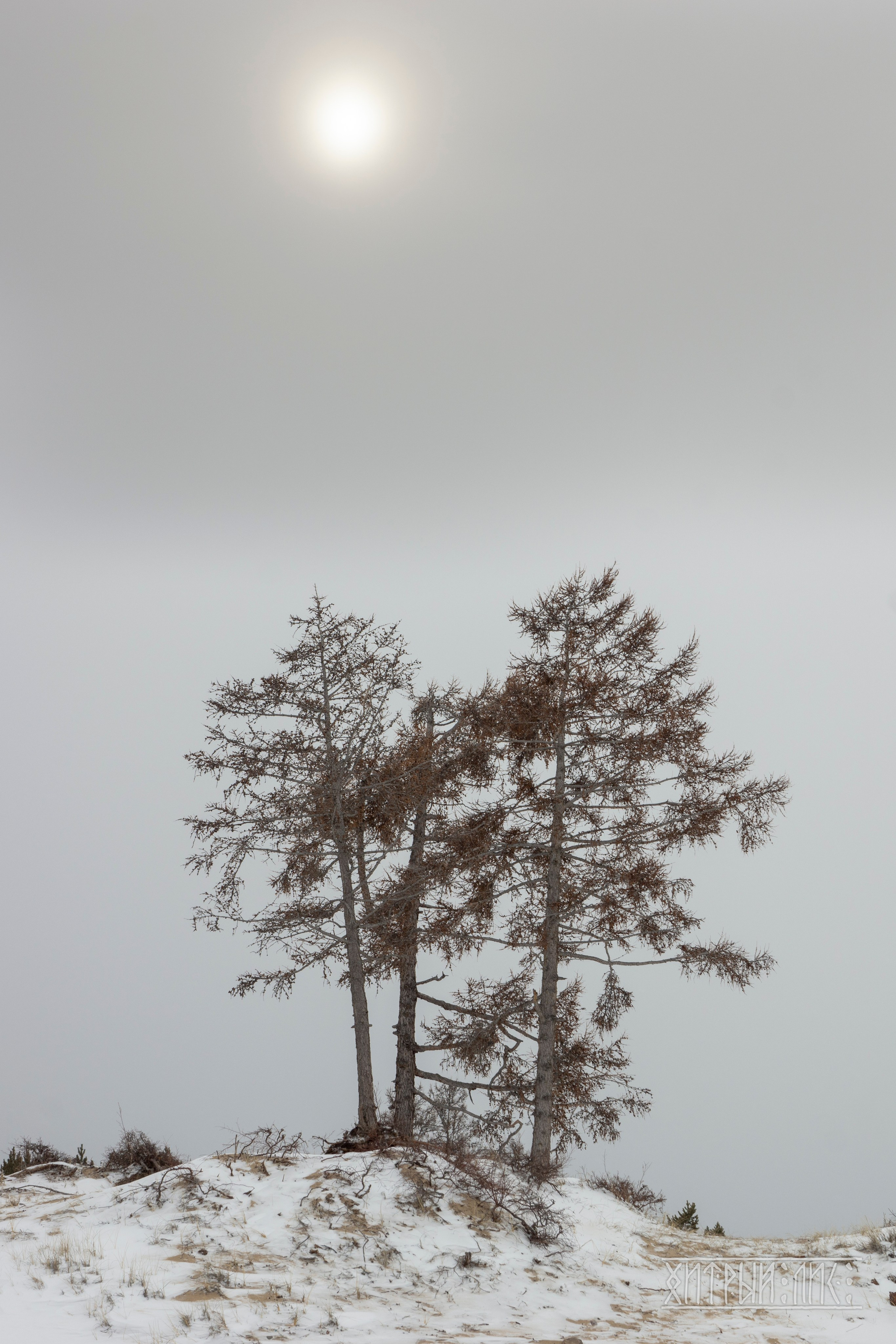 Байкал. Фотограф-путешественник Самойлов Максим «Sly Fox»