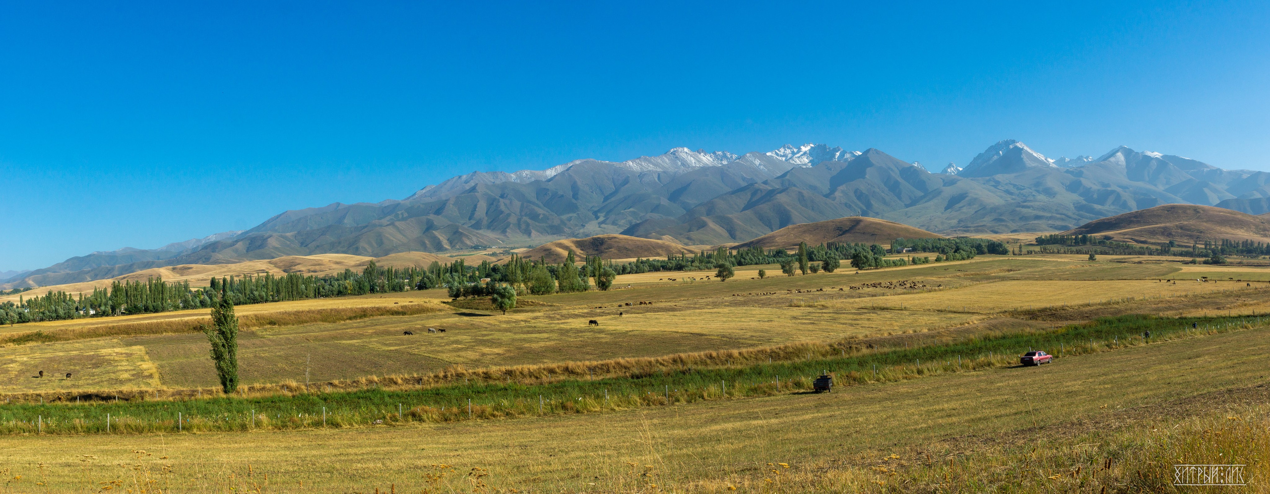 Киргизия. Фотограф-путешественник Самойлов Максим «Sly Fox»