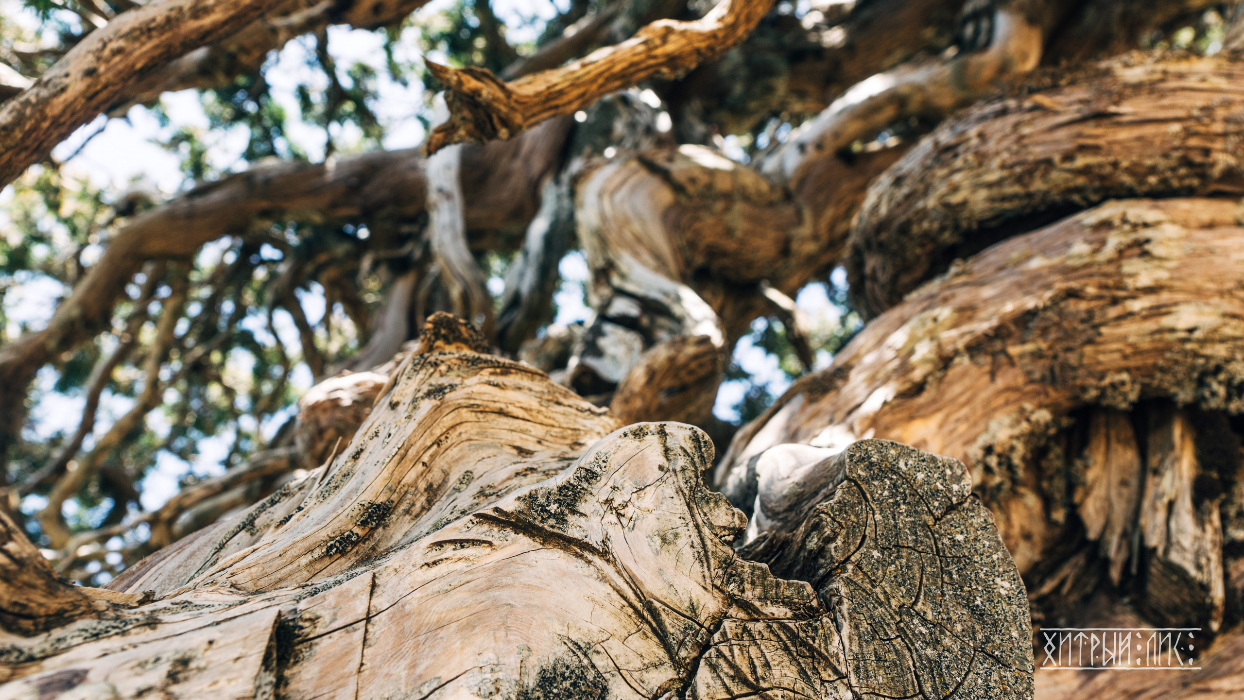 Кипр. Фотограф-путешественник Самойлов Максим «Sly Fox»