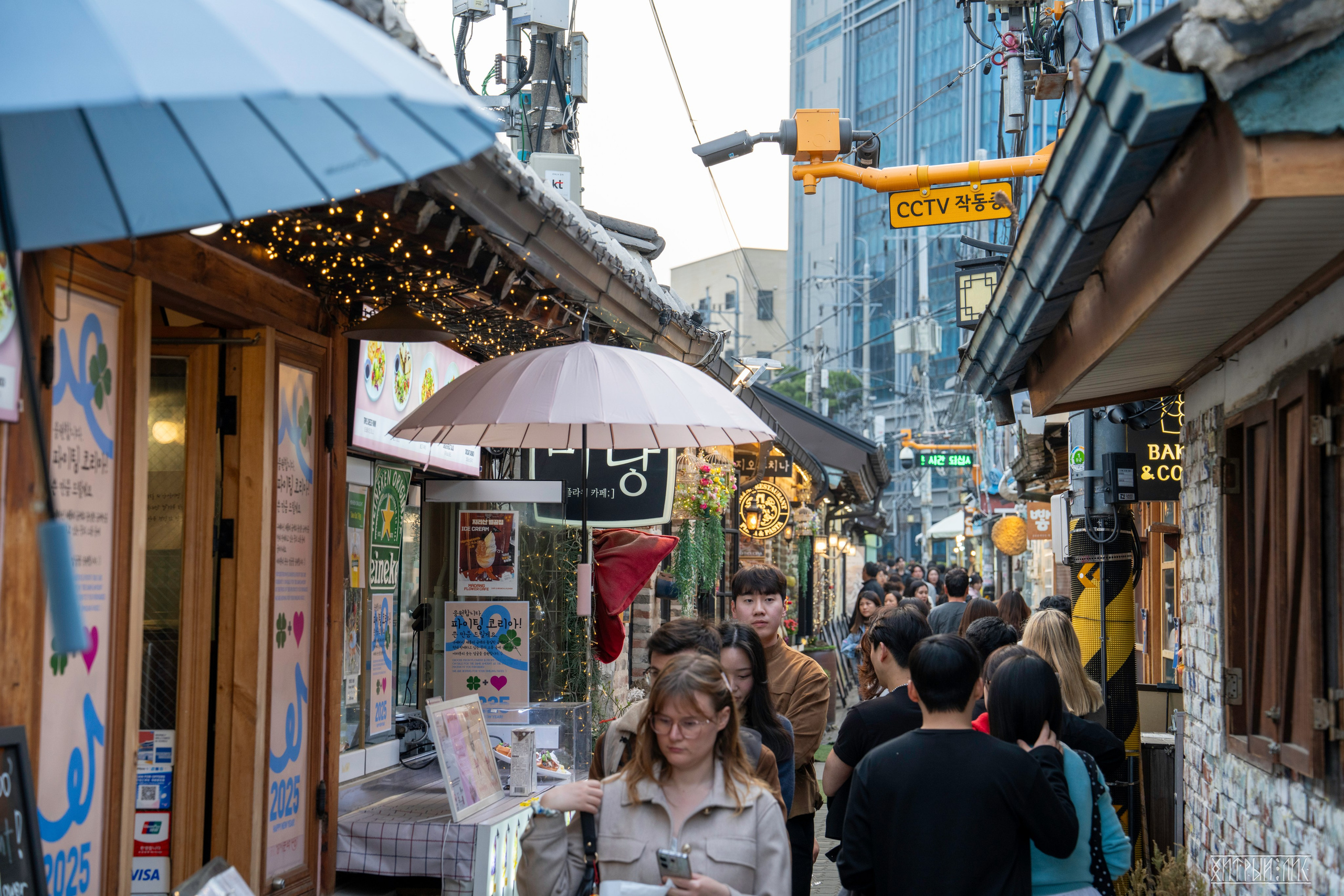 Южная Корея. Фотограф-путешественник Самойлов Максим «Sly Fox»