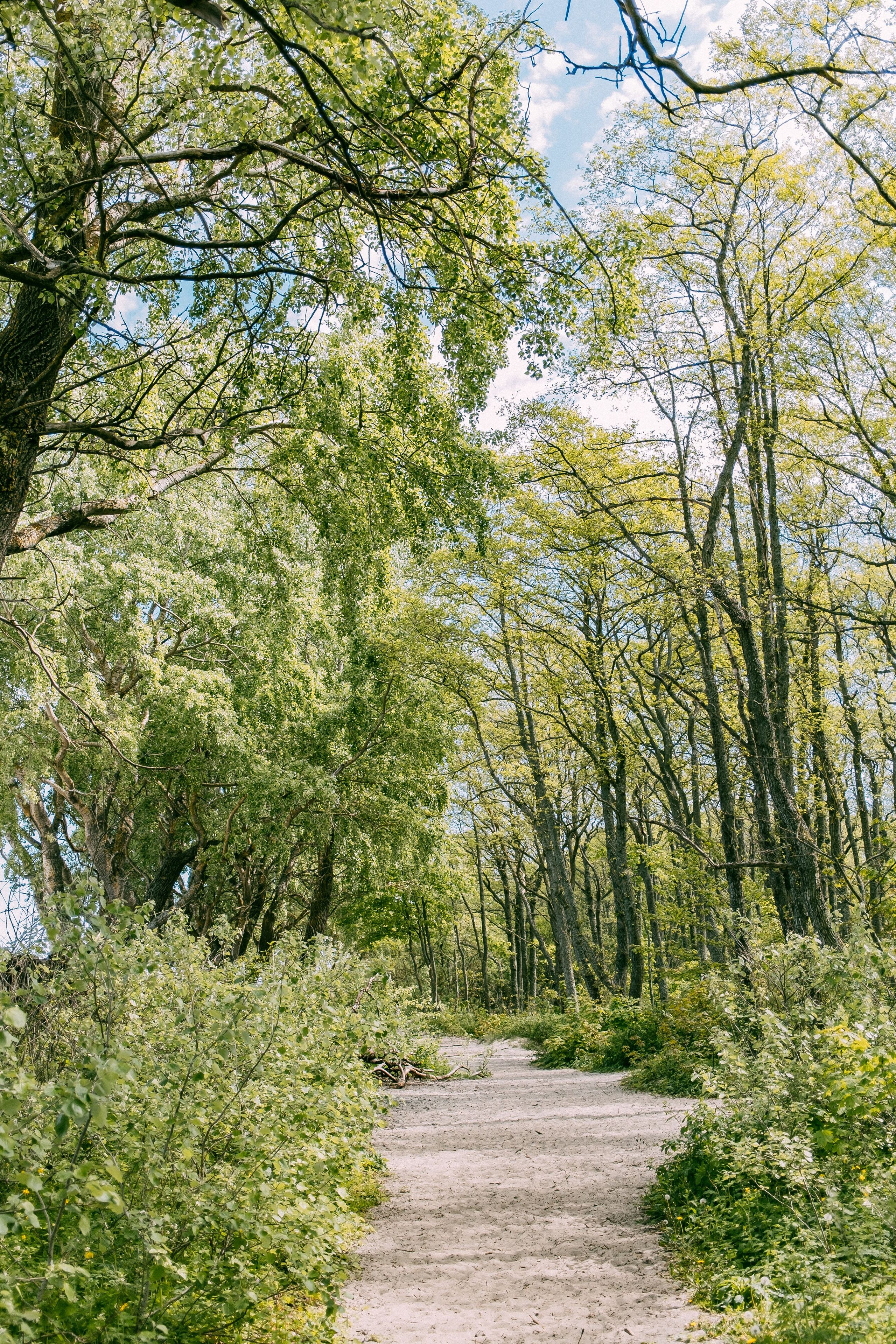 Зеленоградск. Аня Степанова