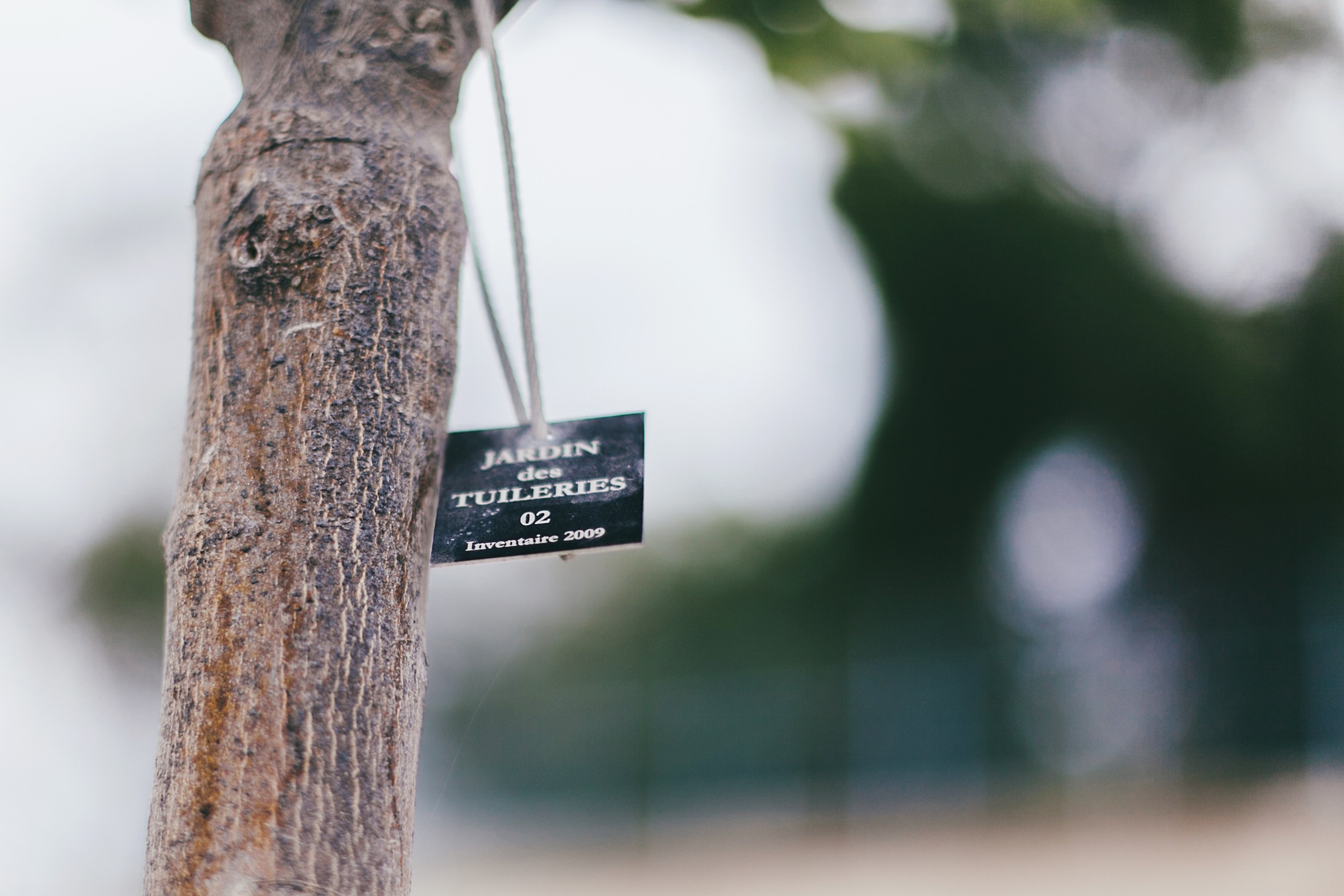 Париж. Аня Степанова