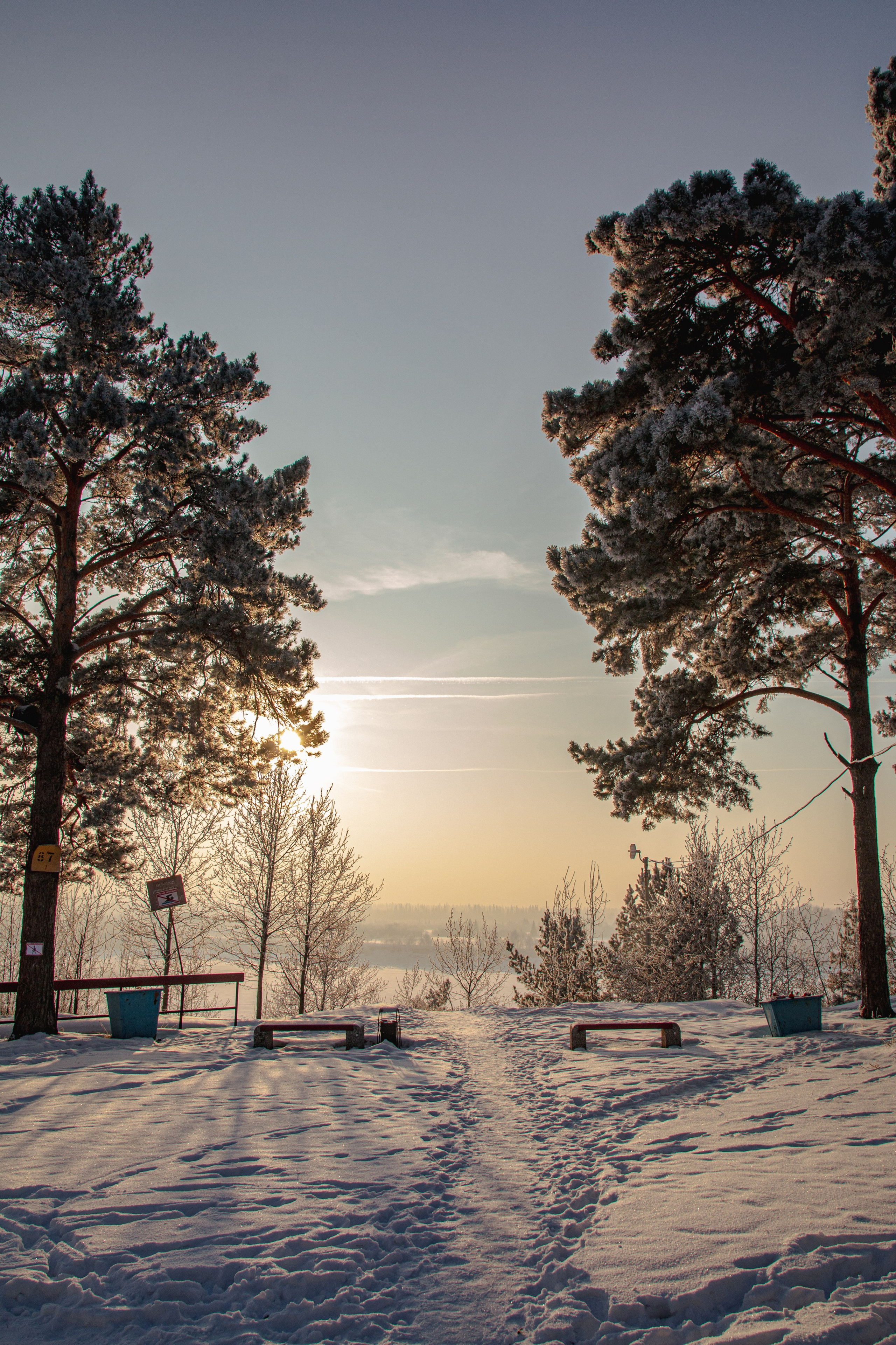 Зима. Ваш фотограф Северск | Томск