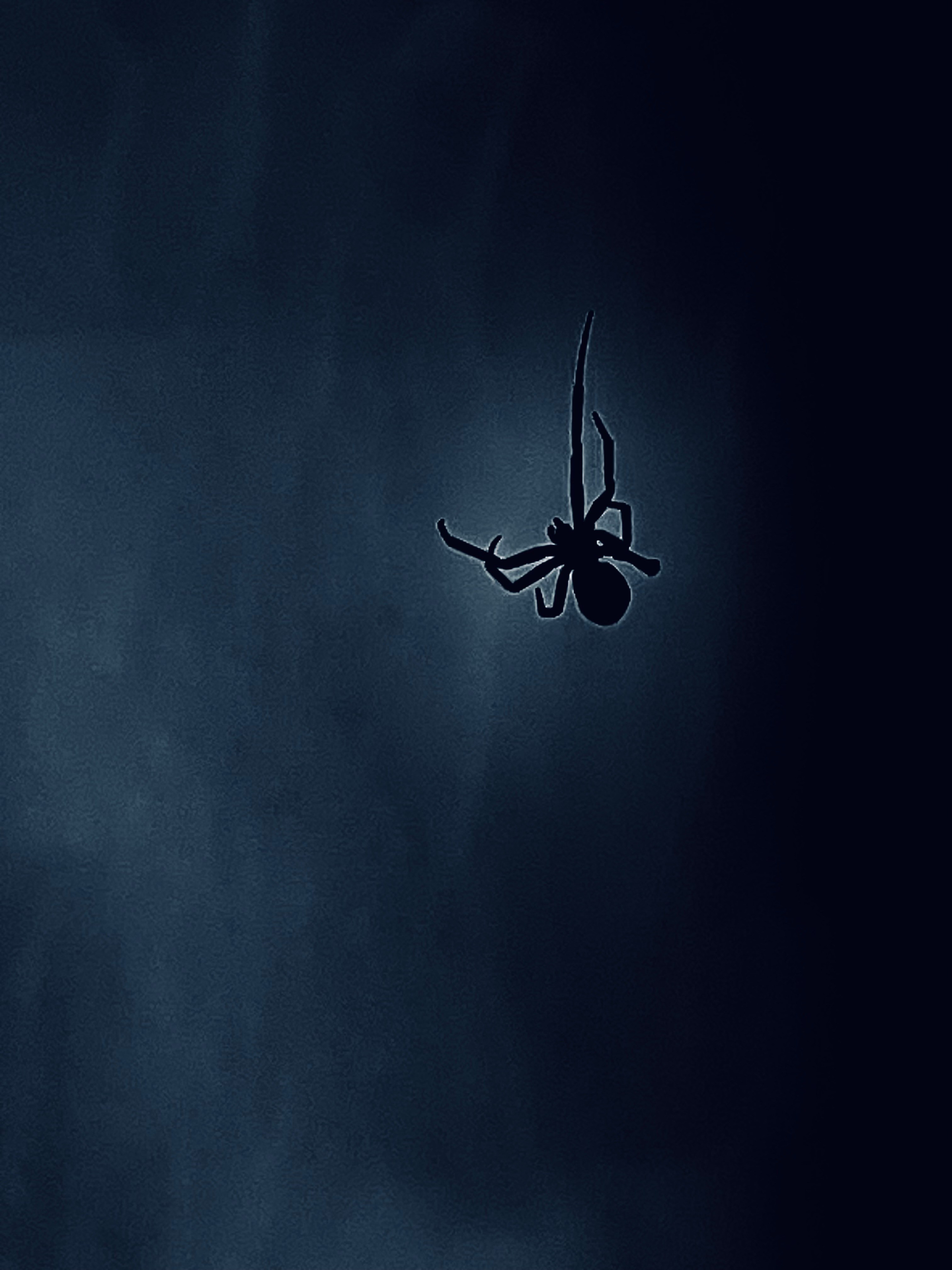 Синий дым. Предание о руинах: АРХИВ ПУСТОТЫ