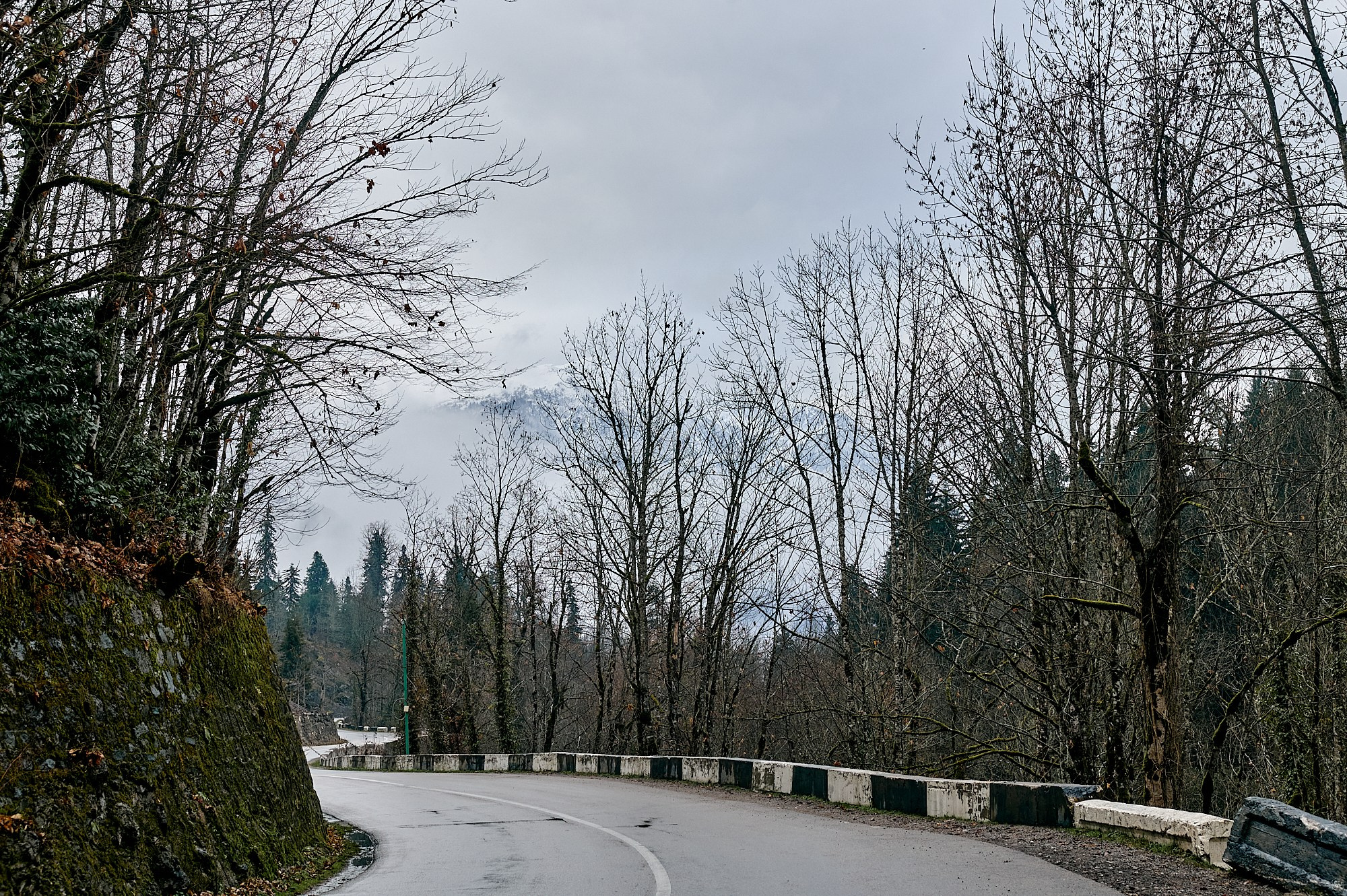 Озеро Рица, Абхазия. Декабрь 2024. Фотографии отовсюду и обо всем